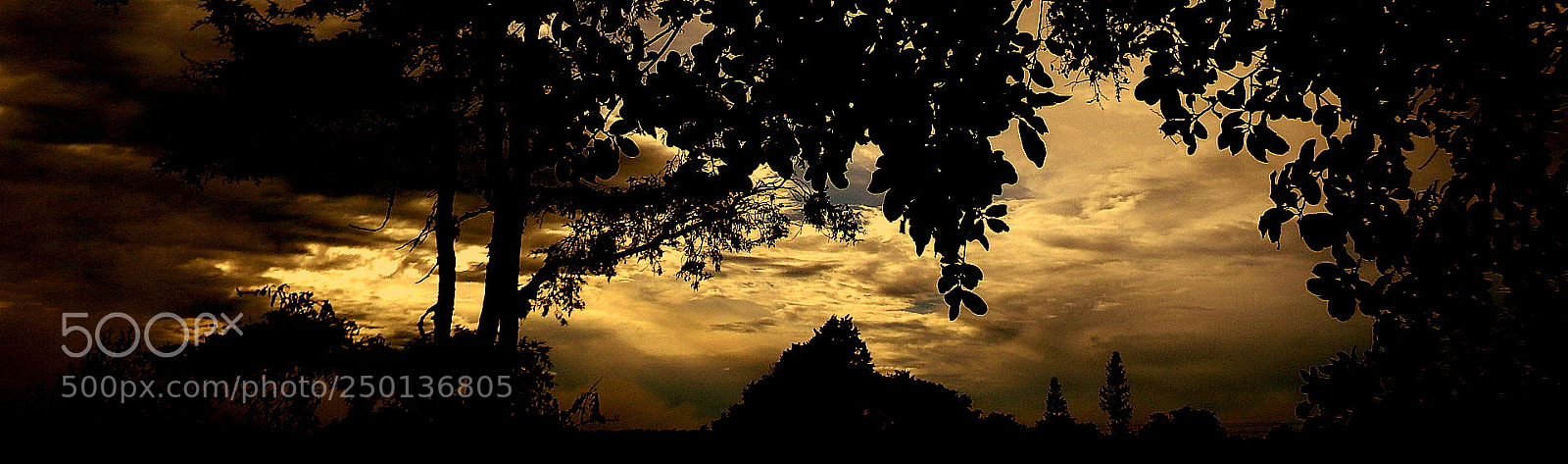 Fujifilm FinePix SL1000 sample photo. Big sunset .... photography