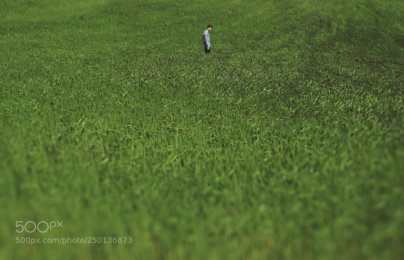 Nikon D7000 sample photo. Lost in green photography