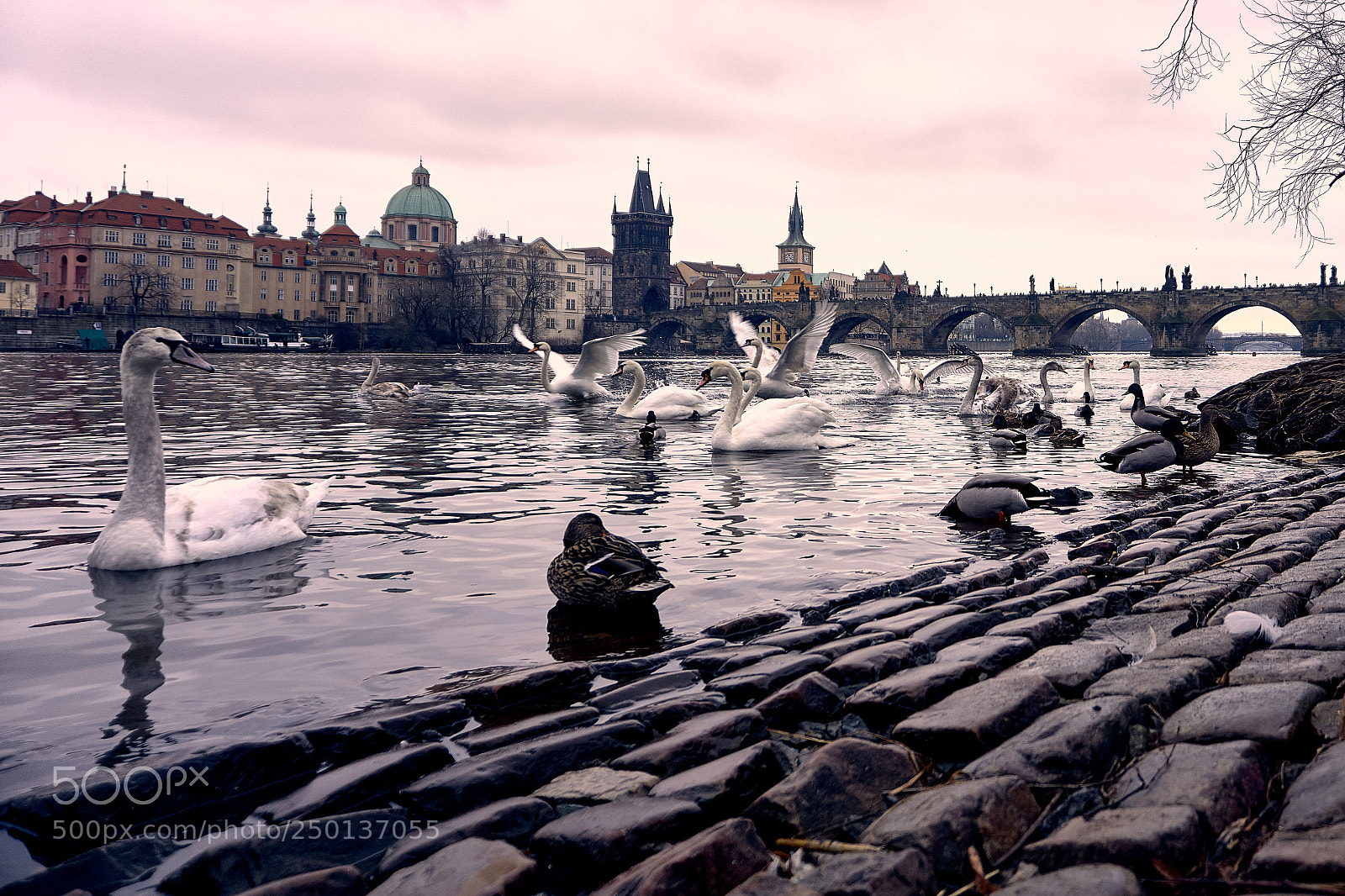 Sony a6000 sample photo. Karlův most 1 photography