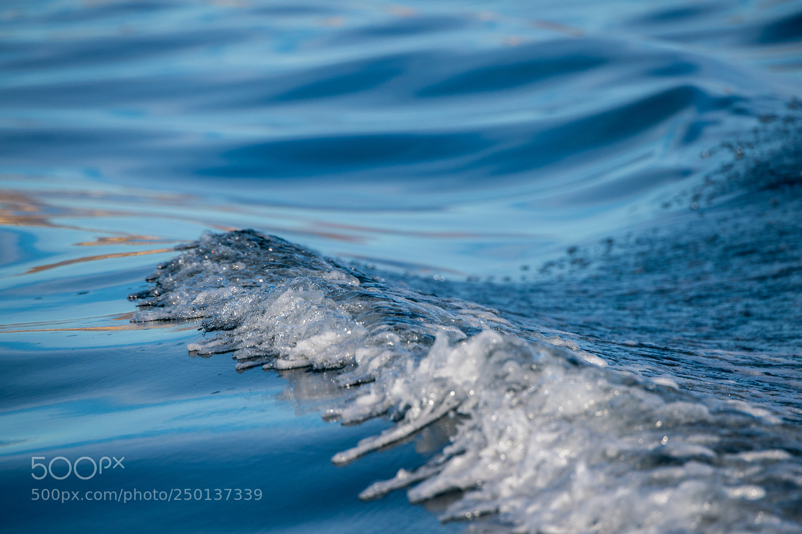 Nikon D5 sample photo. Shape of water #1 photography