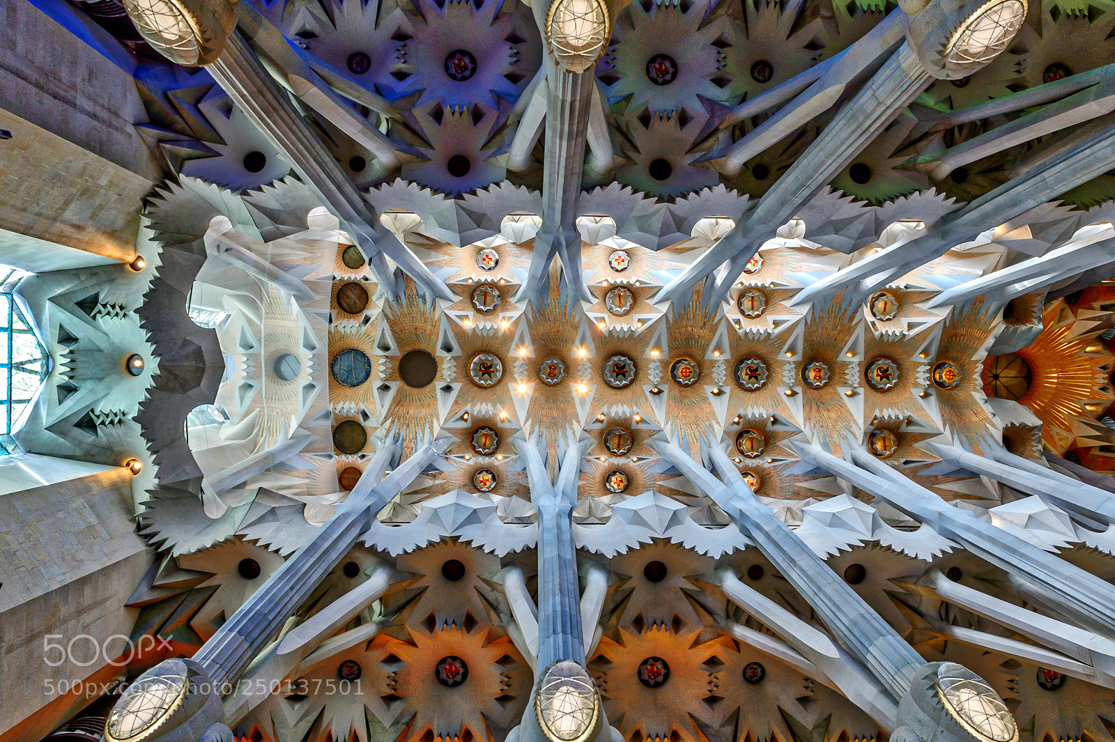 Nikon D4S sample photo. Ceiling sagrada familia barcelona ! photography