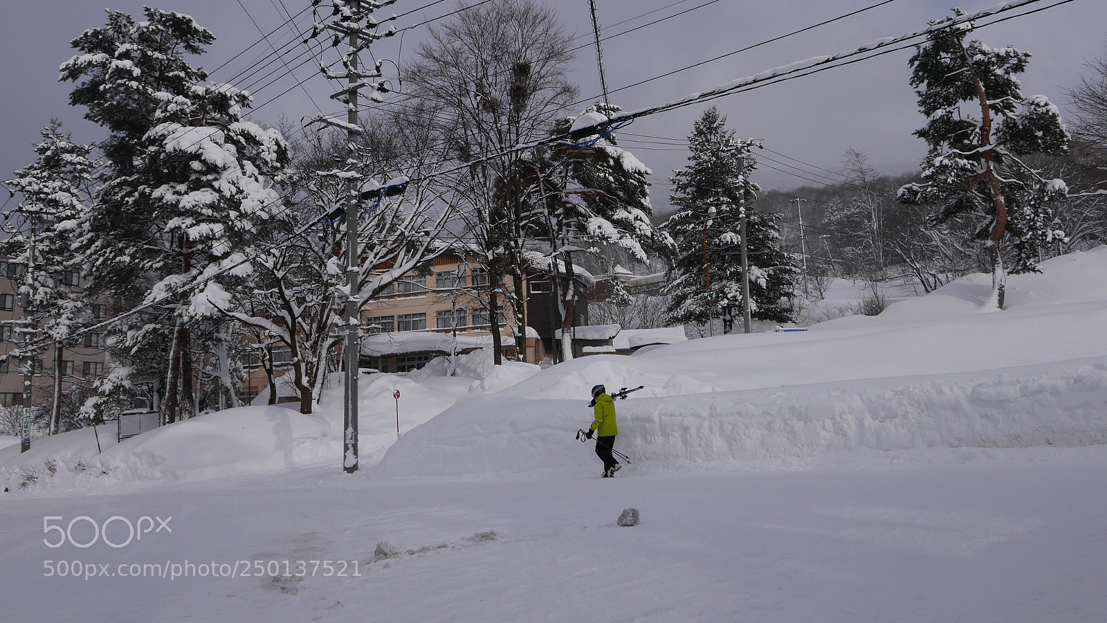Leica D-Lux (Typ 109) sample photo. 去年冬天。。。 photography