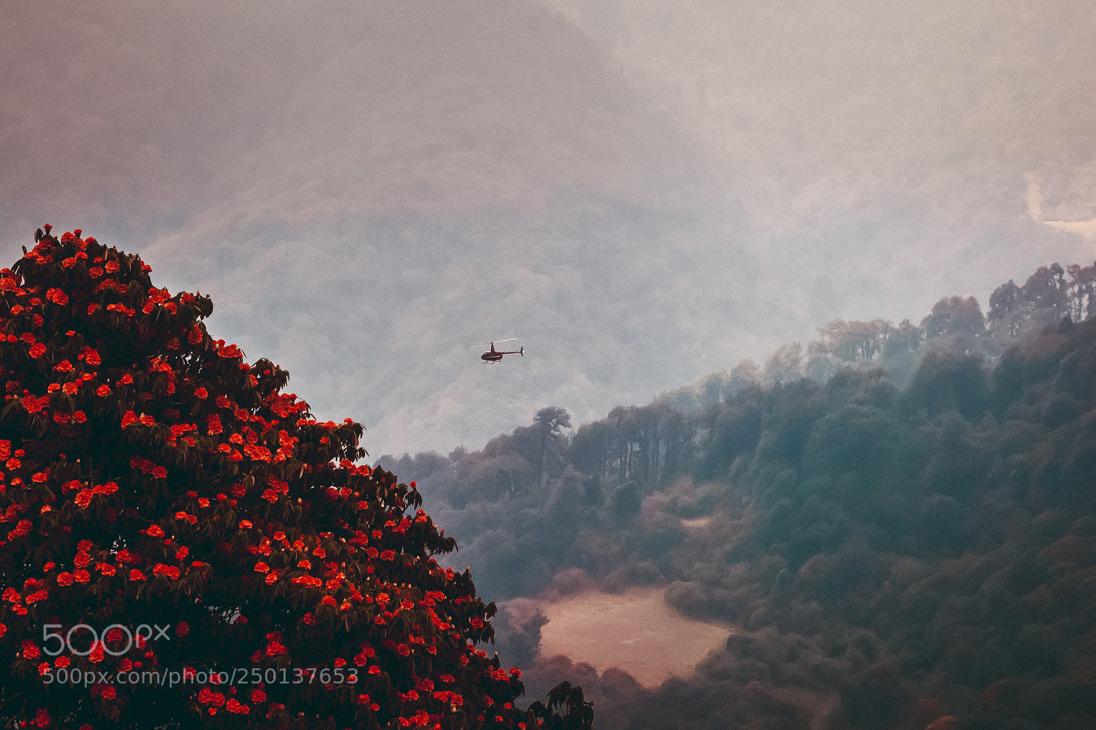 Canon EOS 700D (EOS Rebel T5i / EOS Kiss X7i) sample photo. Helicopter photography