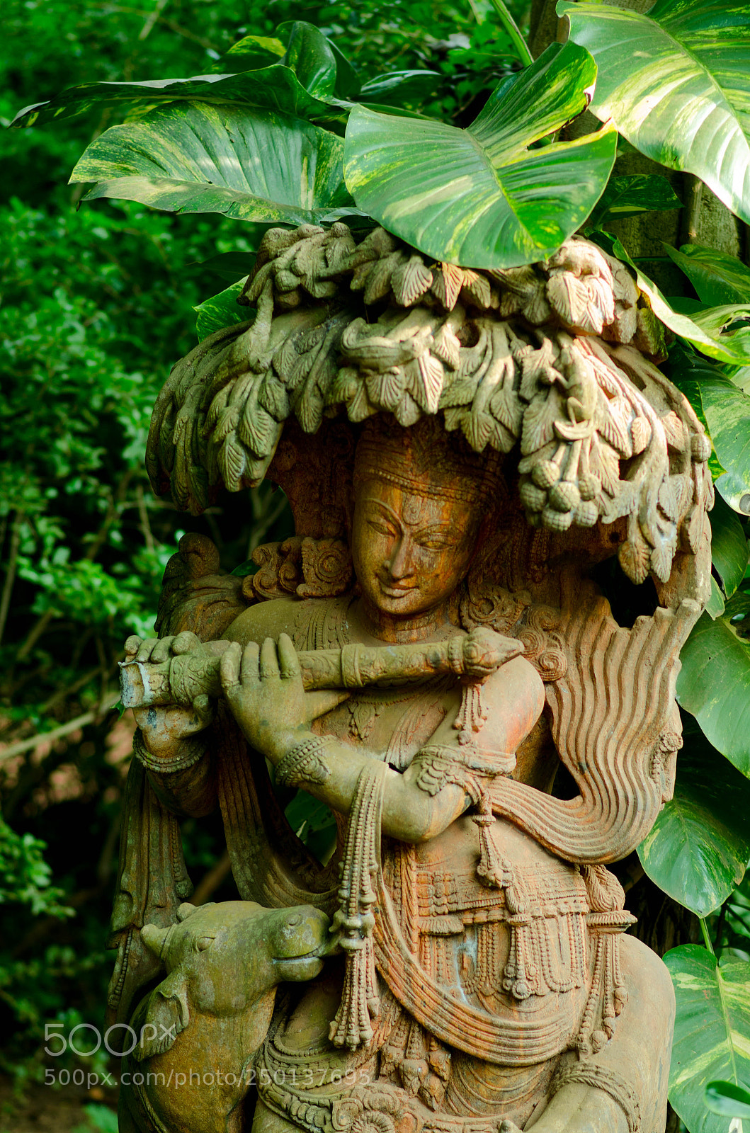 Nikon D7000 sample photo. Dsc photography