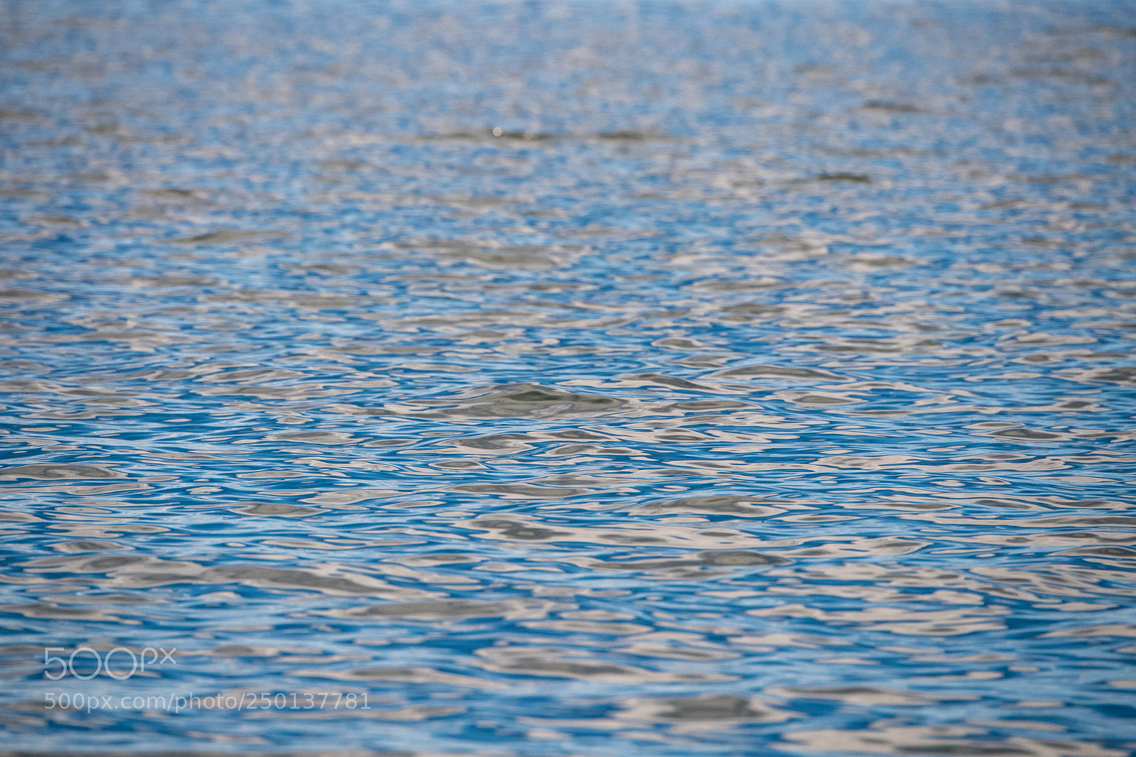Nikon D5 sample photo. Shape of water #5 photography