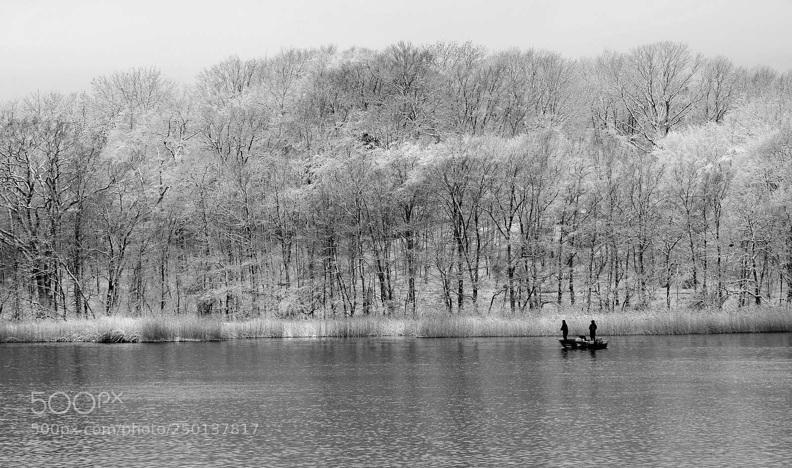 Fujifilm X-M1 sample photo. Swedish winter 2 photography
