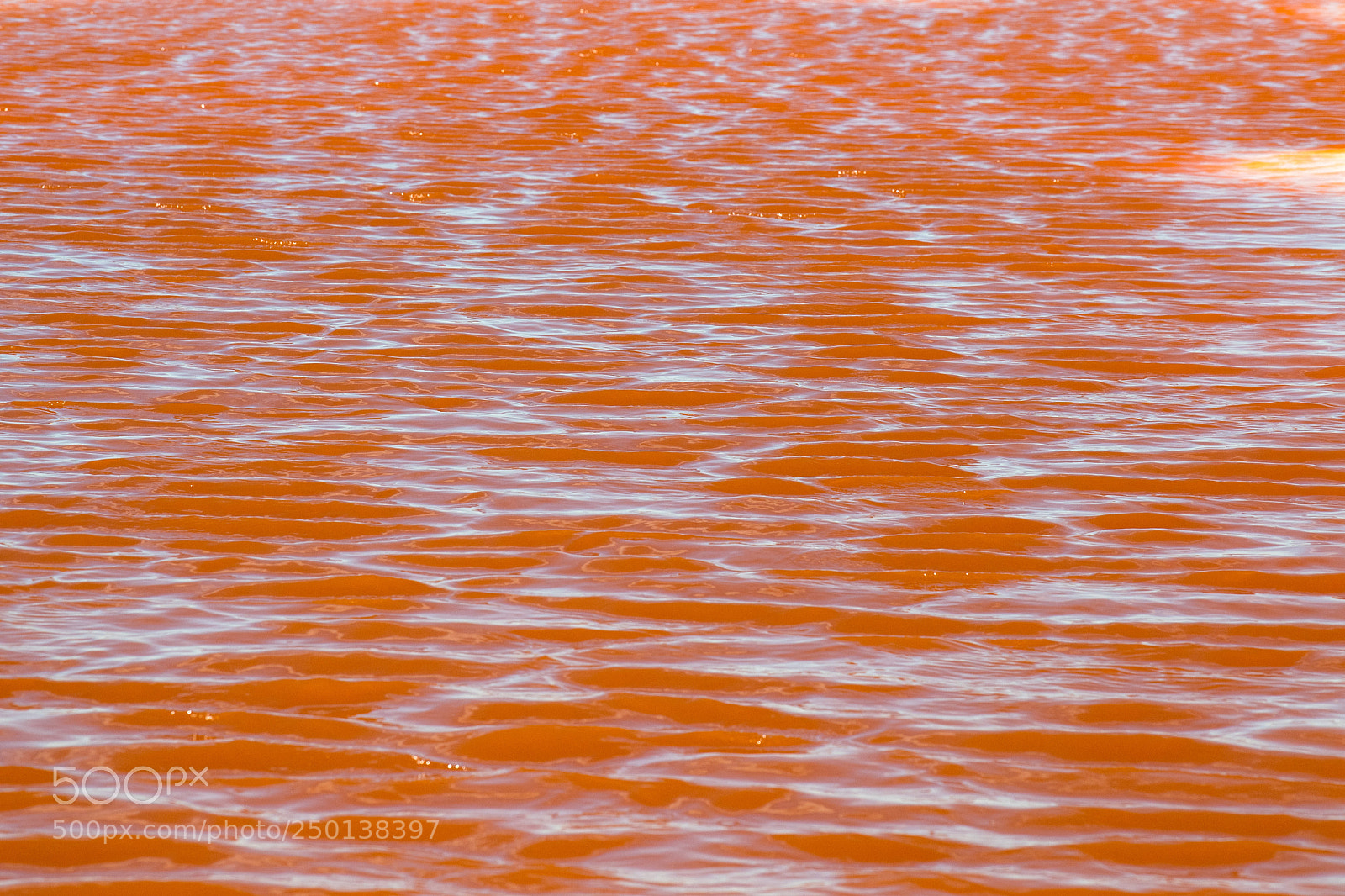 Nikon D5 sample photo. Shape of water #7 photography