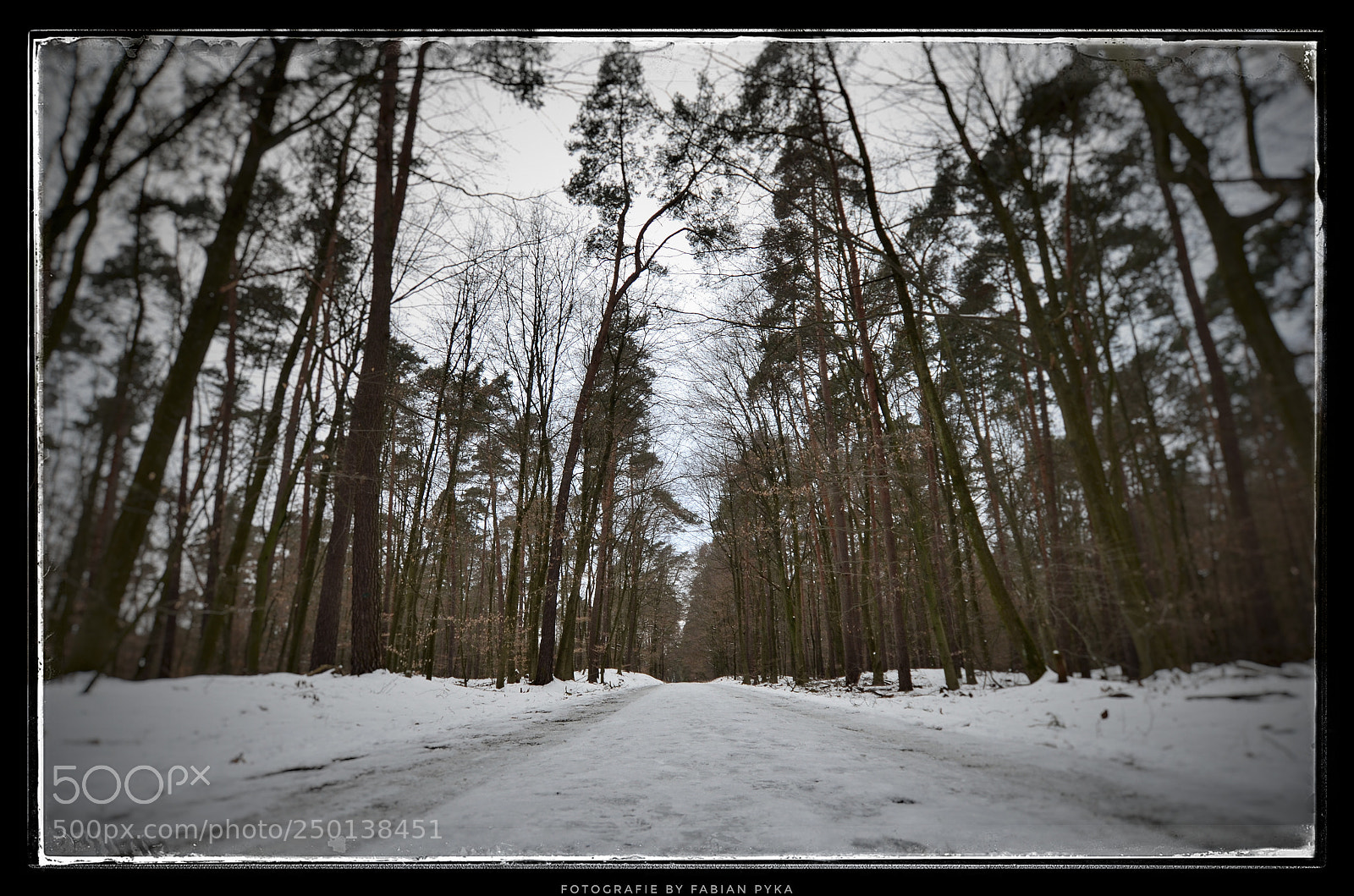 Nikon D5100 sample photo. Untitled photography