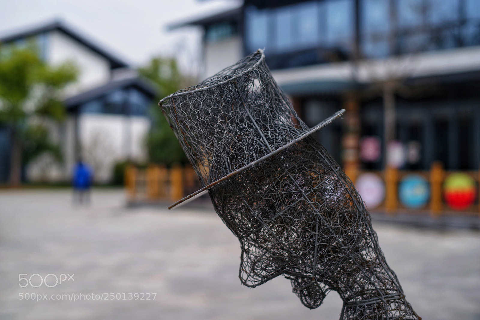 Pentax K-1 sample photo. Untitled photography