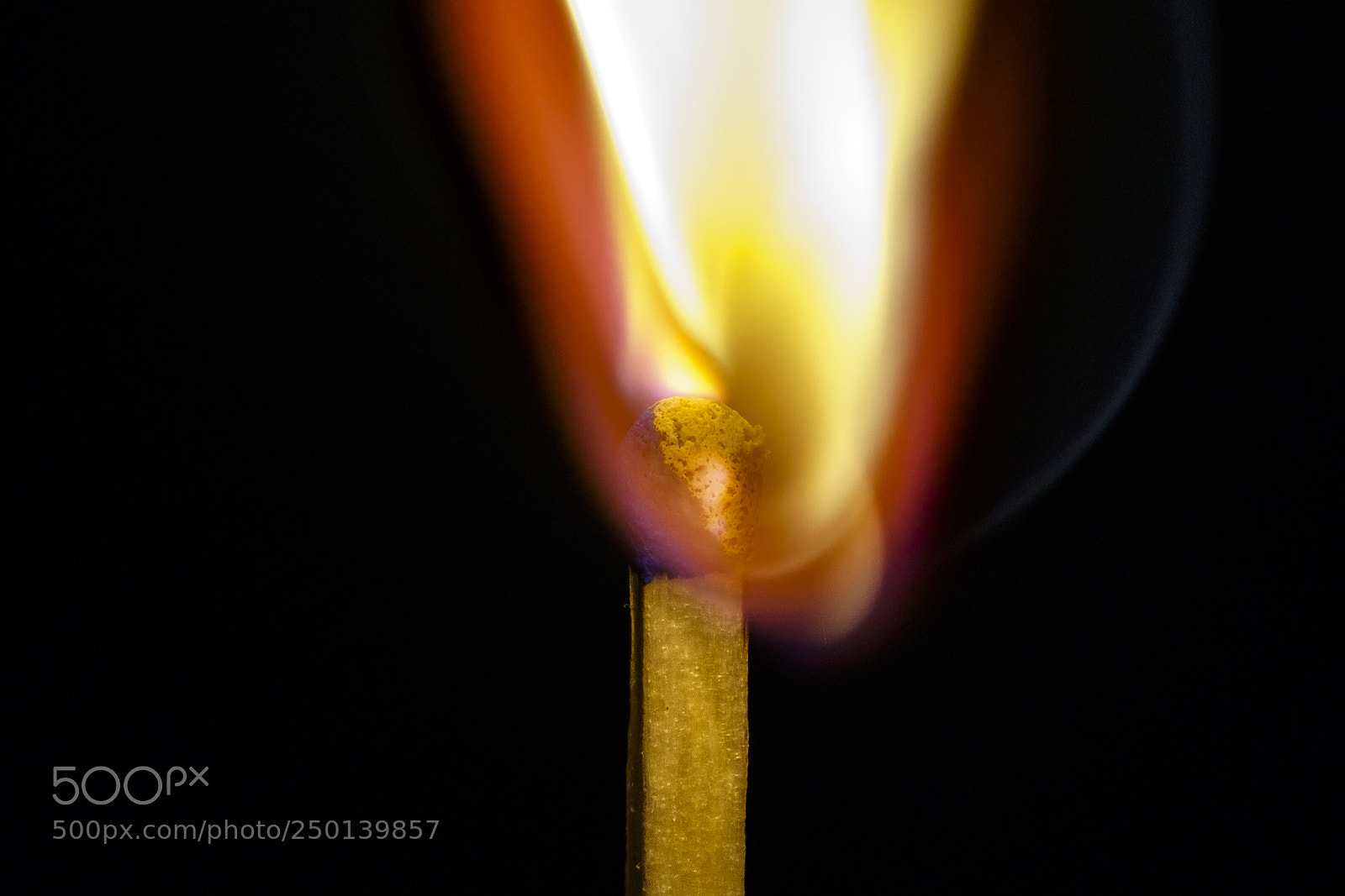 Sony a7R III sample photo. I'm on fire photography