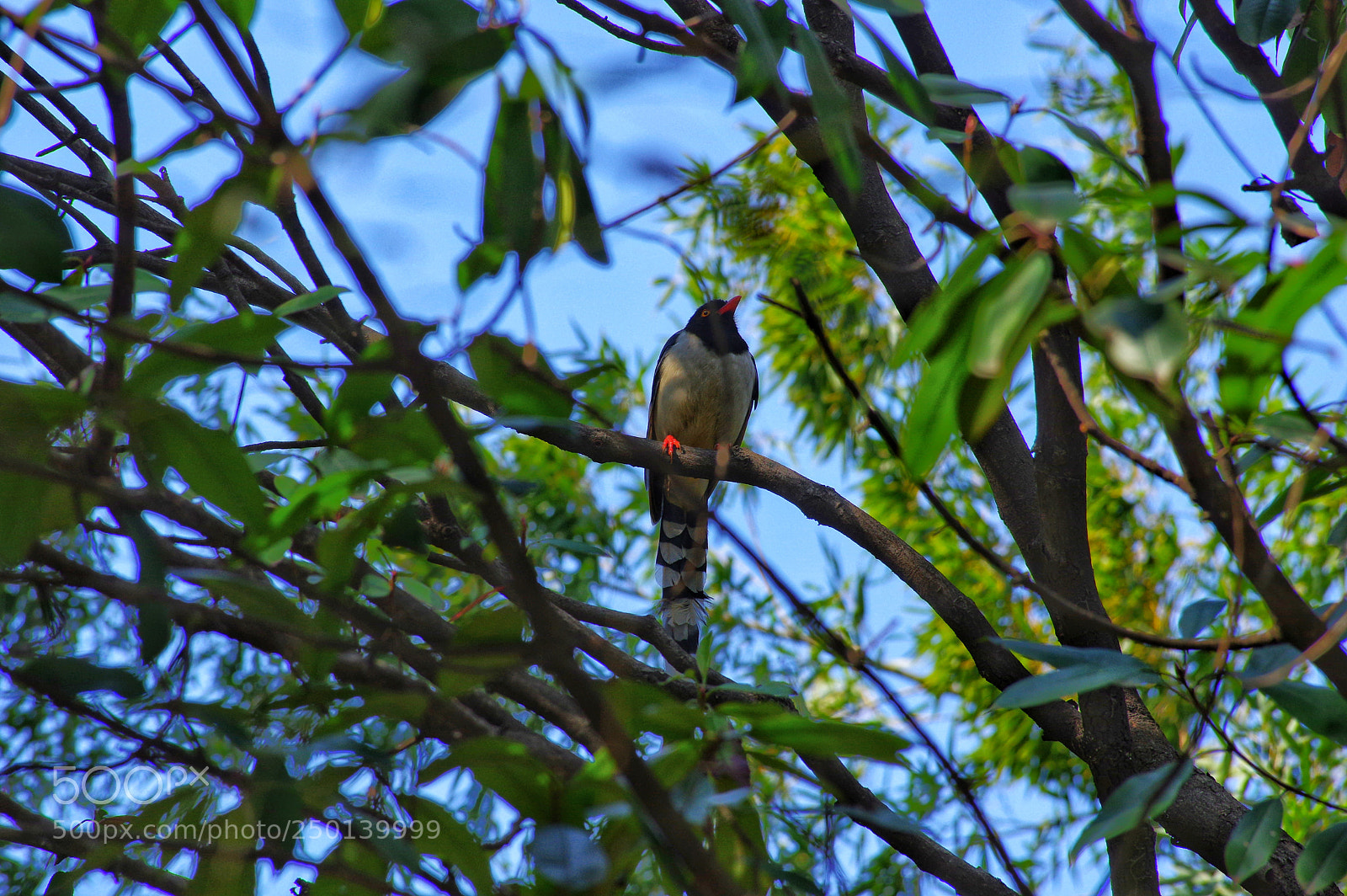 Pentax K-3 II sample photo. Untitled photography