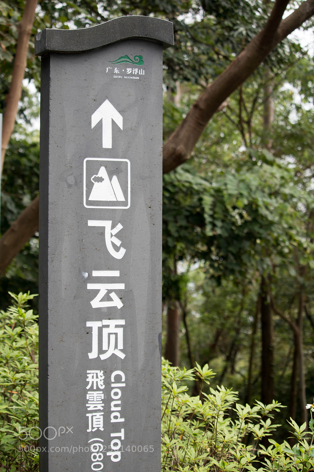 Canon EOS 750D (EOS Rebel T6i / EOS Kiss X8i) sample photo. 惠州罗浮山 photography