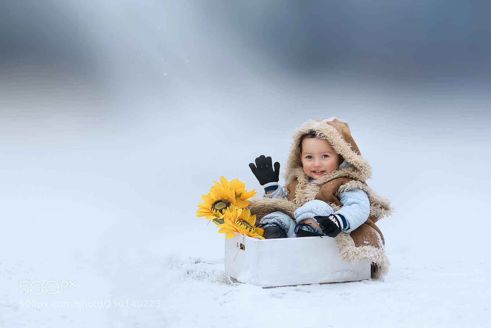 Sony a7 II sample photo. Snow day photography