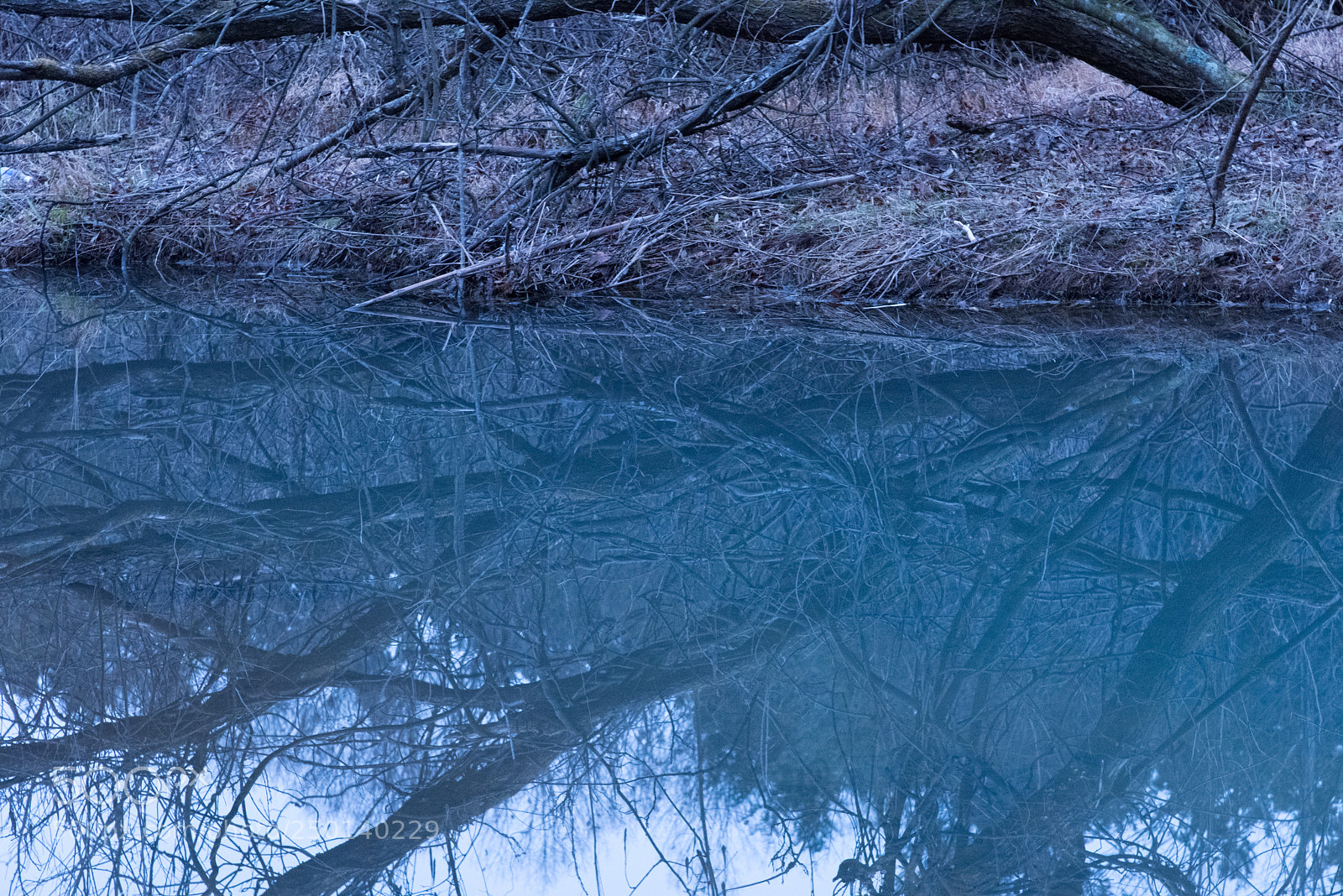 Nikon D810 sample photo. Cold day photography