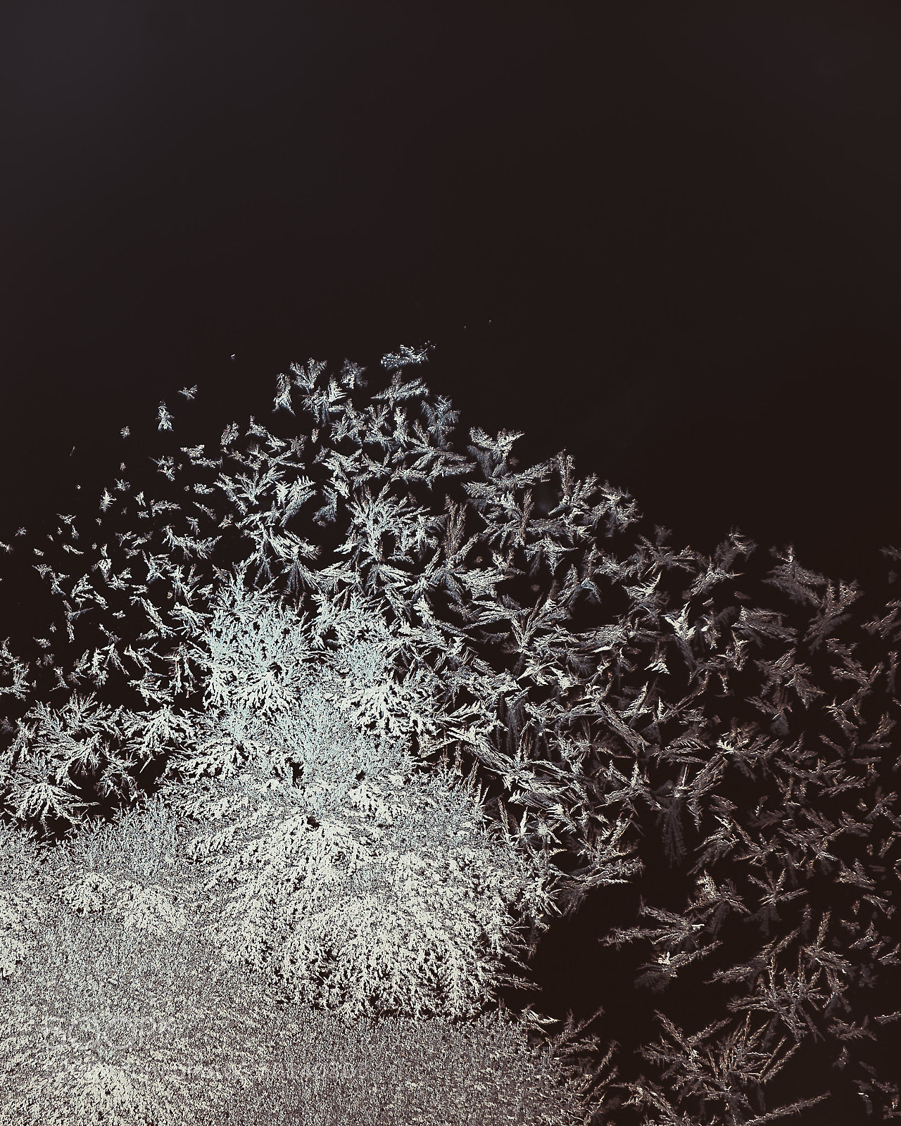 Nikon D600 sample photo. Crystal montain photography