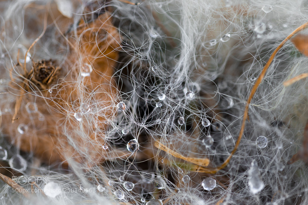 Sony a7 II sample photo. Diamonds photography