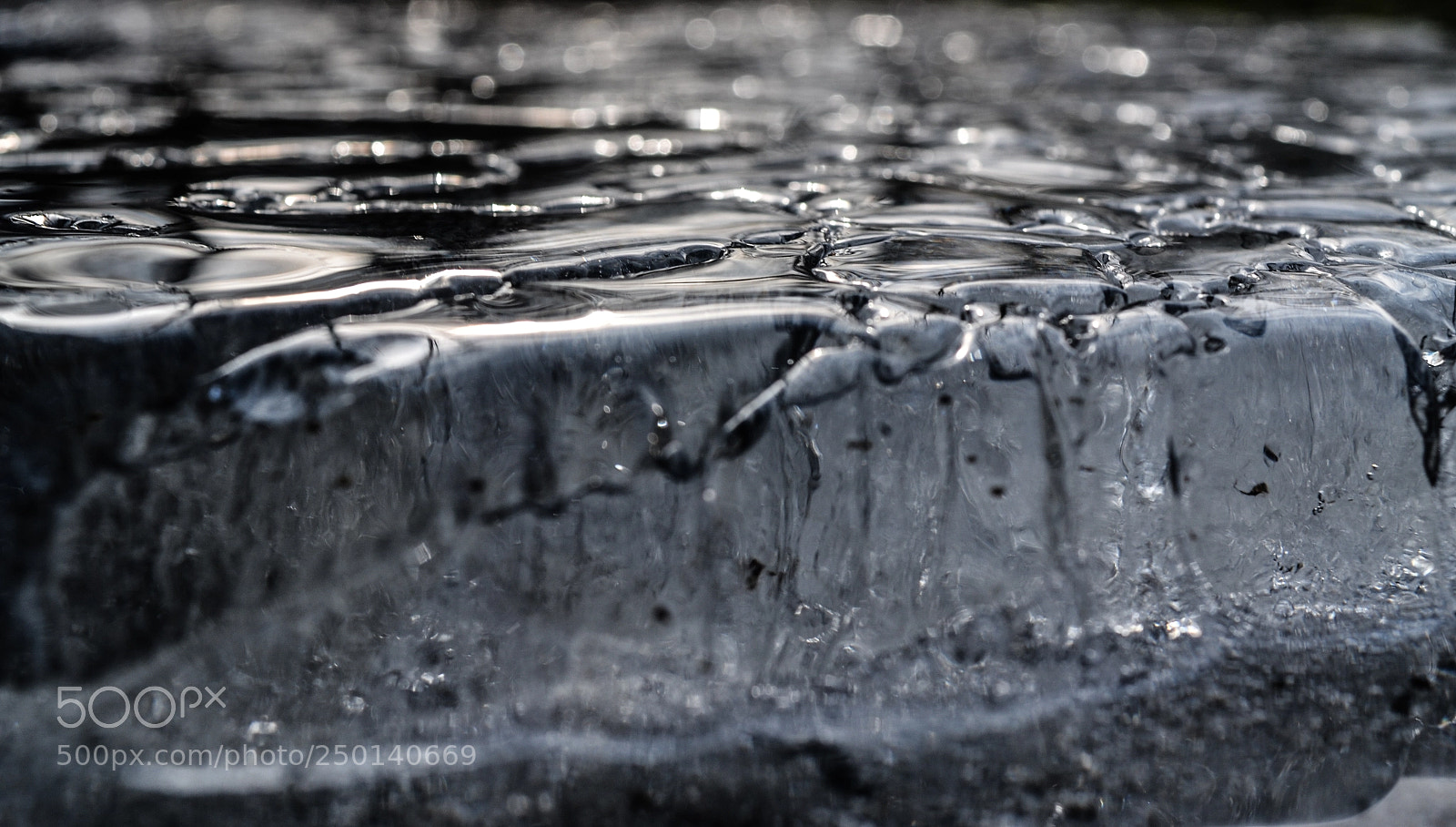 Nikon D3100 sample photo. Il giorno sapeva di photography