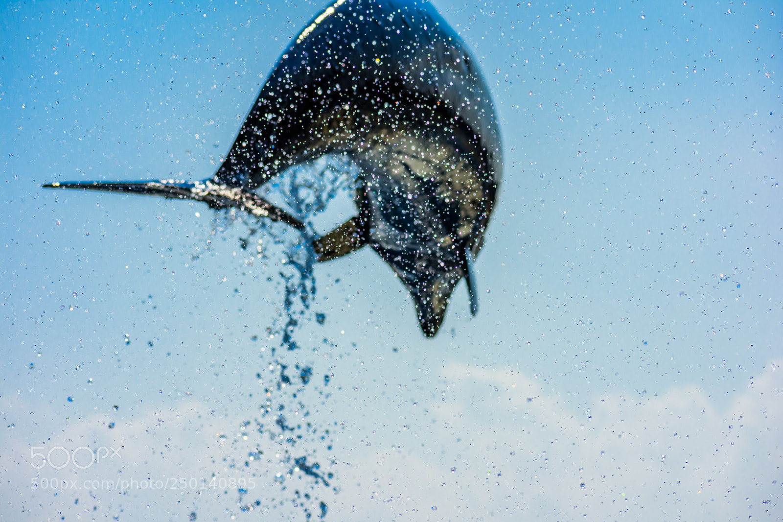 Nikon D7200 sample photo. Splash photography