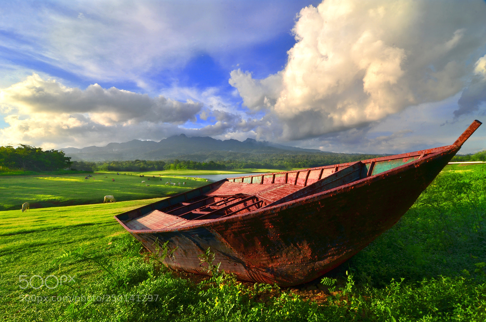 Nikon D7000 sample photo. Old boats on the photography