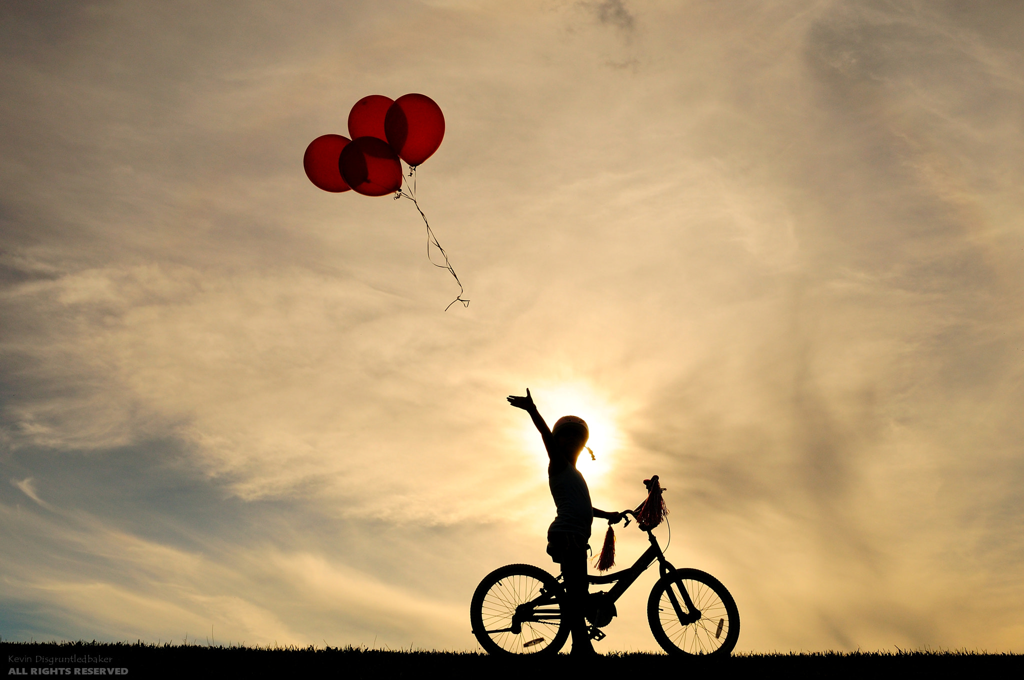 Nikon D90 sample photo. Let it go photography