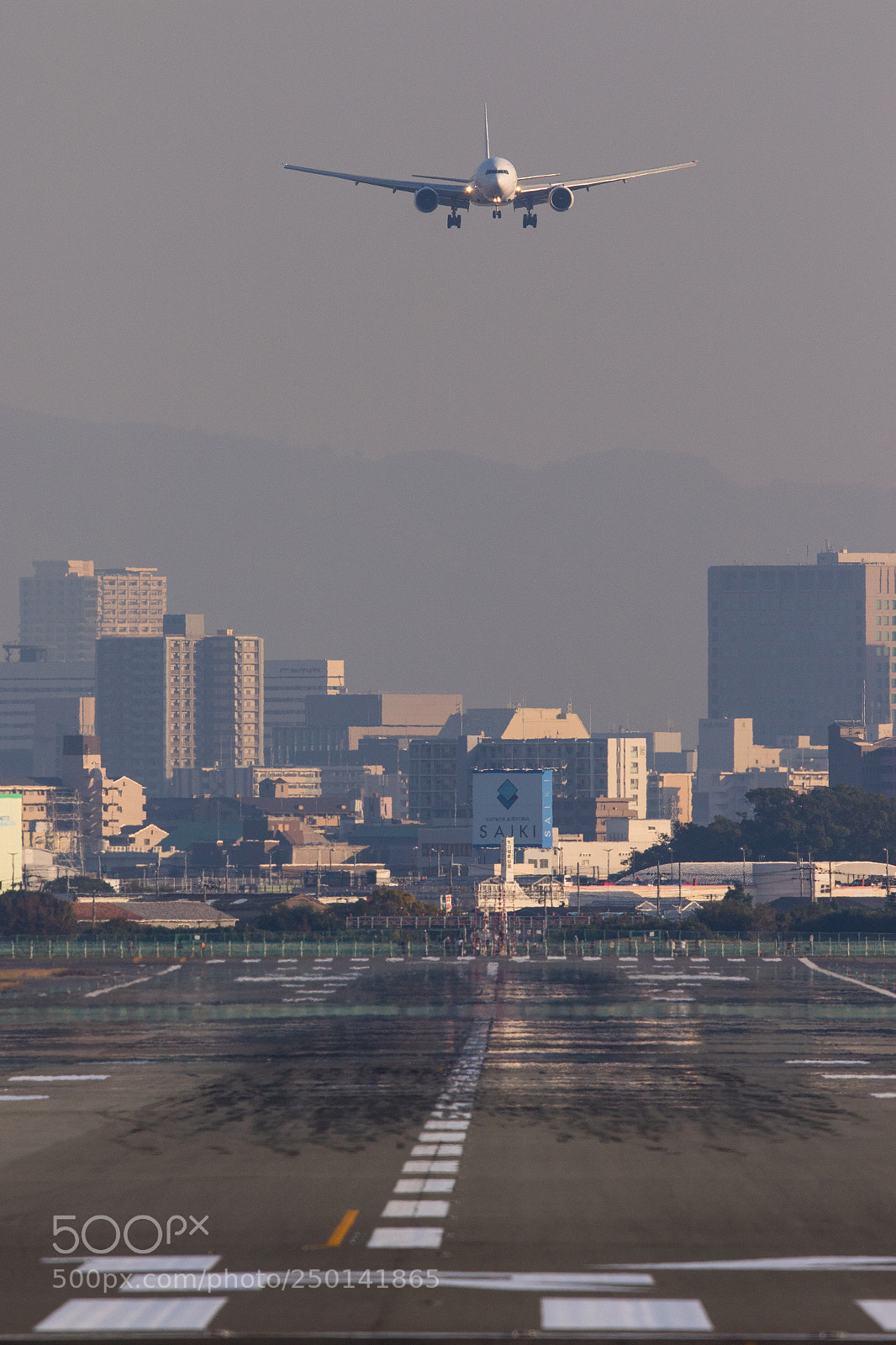 Canon EOS 7D Mark II sample photo. Ya photography