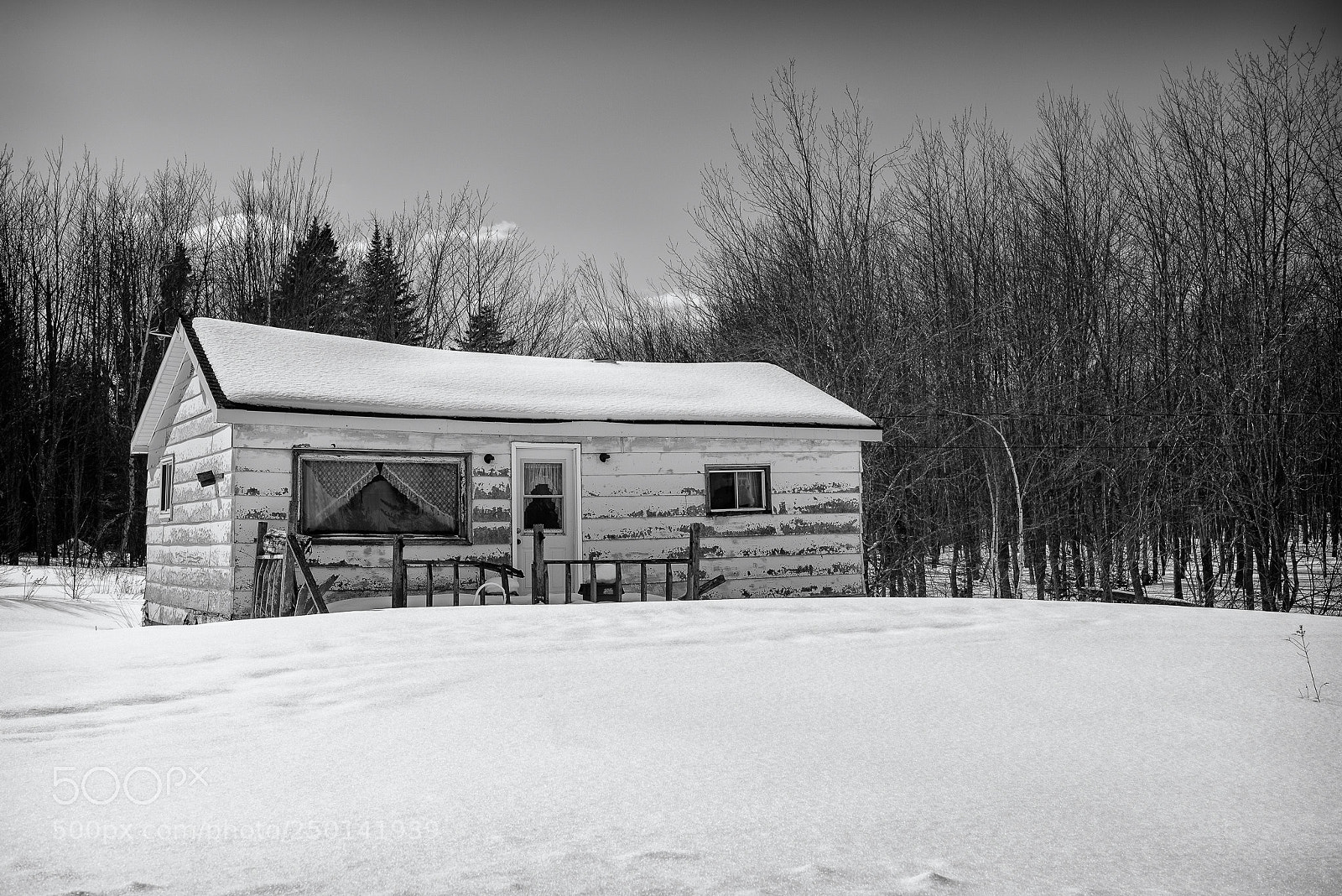 Nikon D600 sample photo. Snowed in photography
