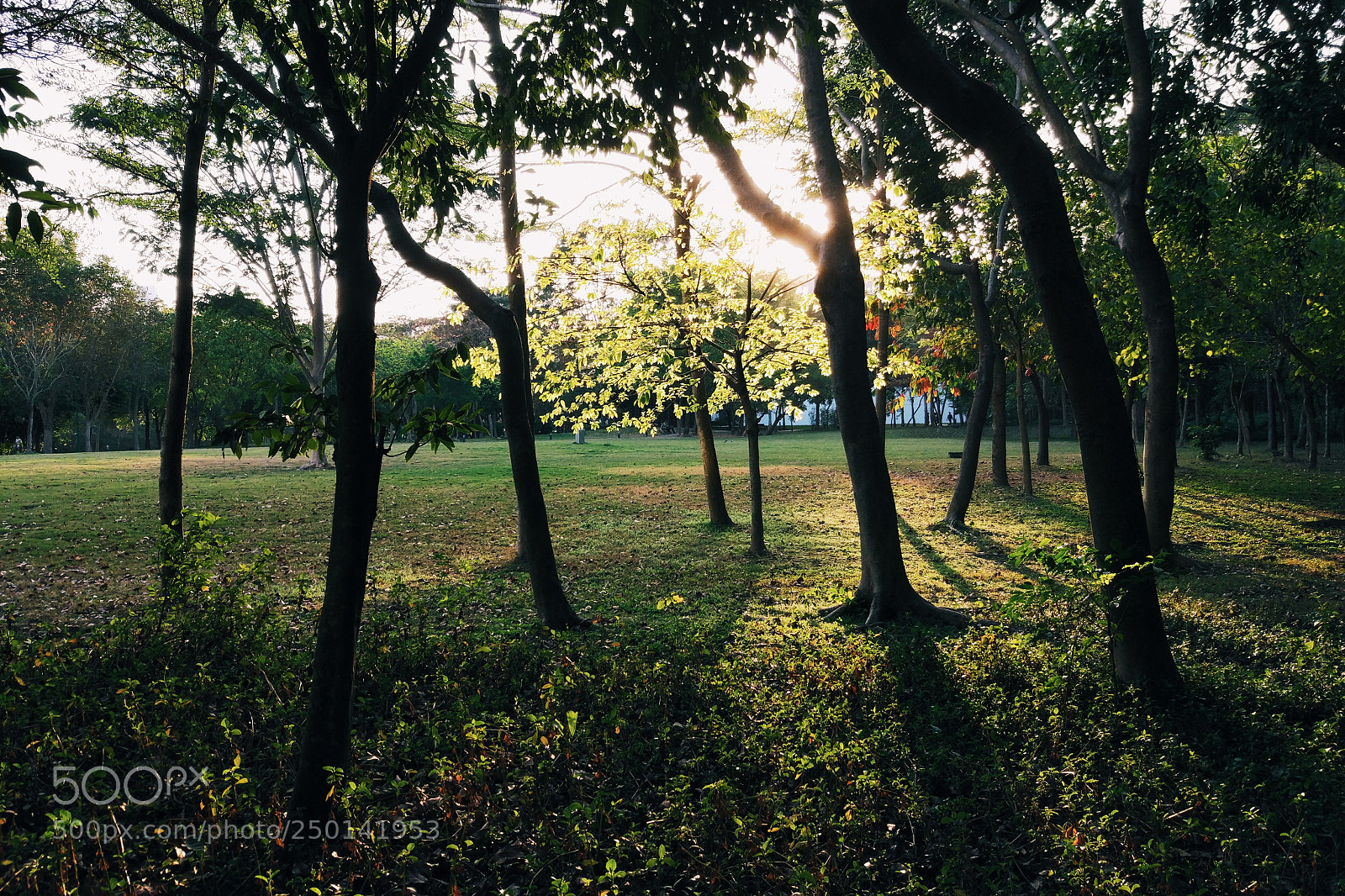 Xiaomi MI 5 sample photo. Untitled photography