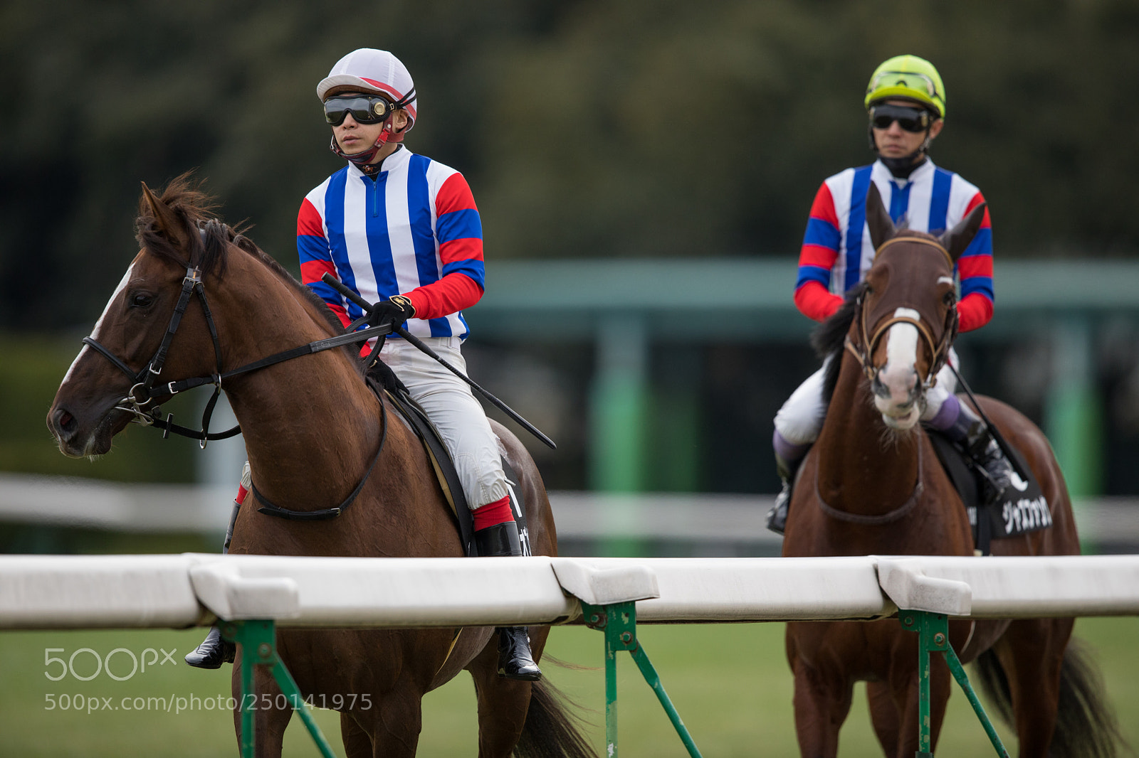 Canon EOS 5D Mark IV sample photo. A photography
