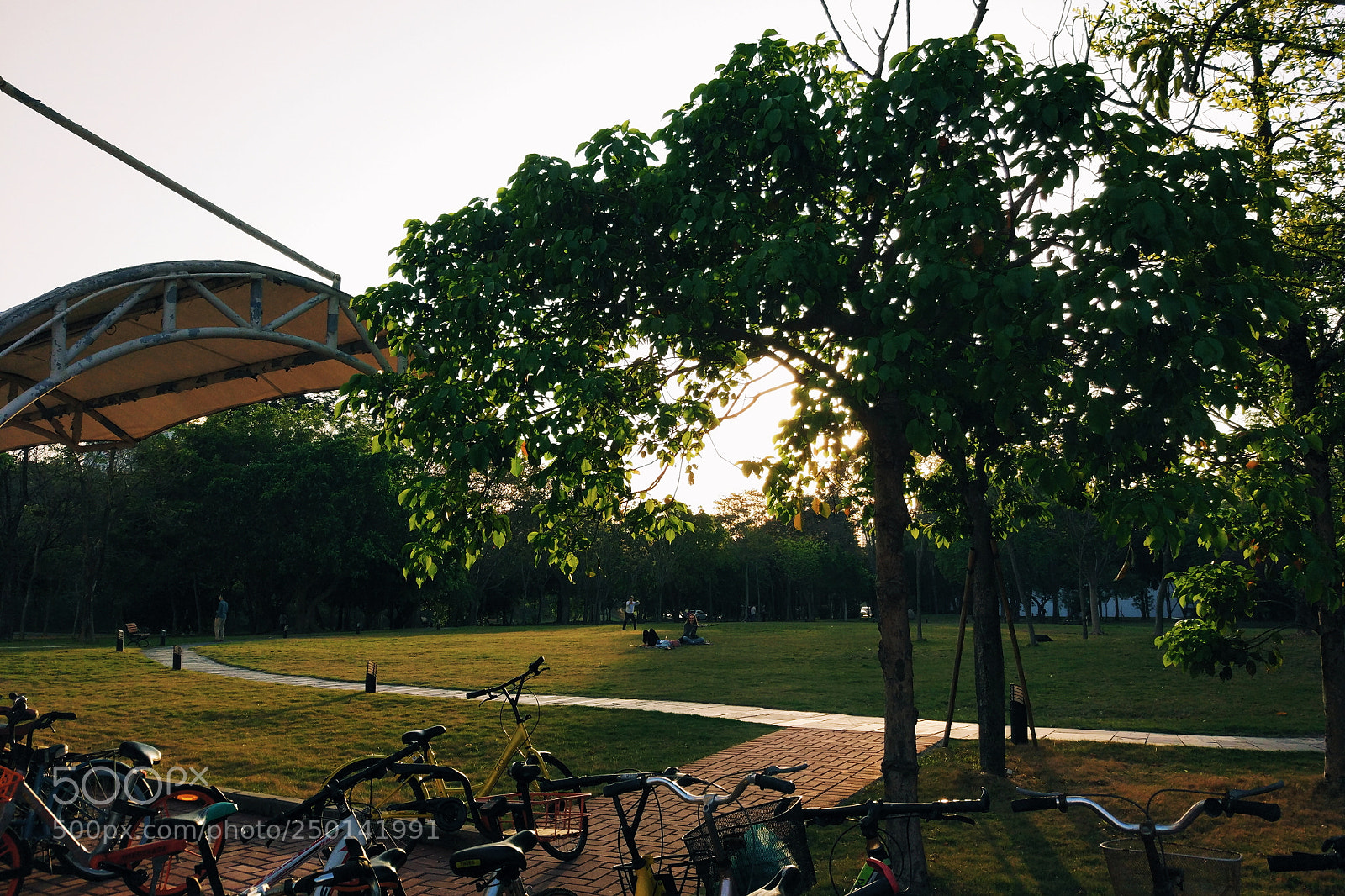 Xiaomi MI 5 sample photo. Untitled photography