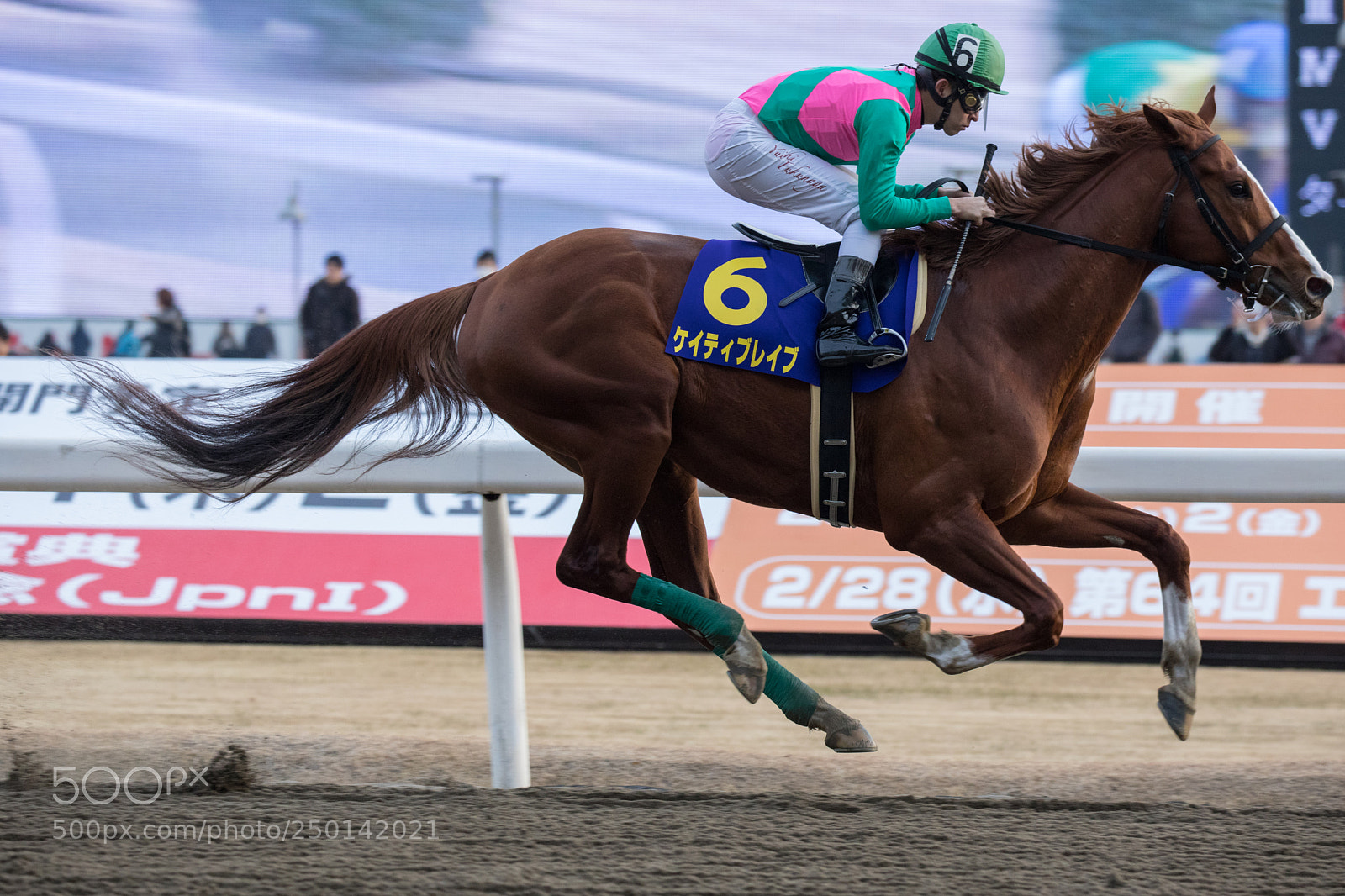 Canon EOS 5D Mark IV sample photo. A photography