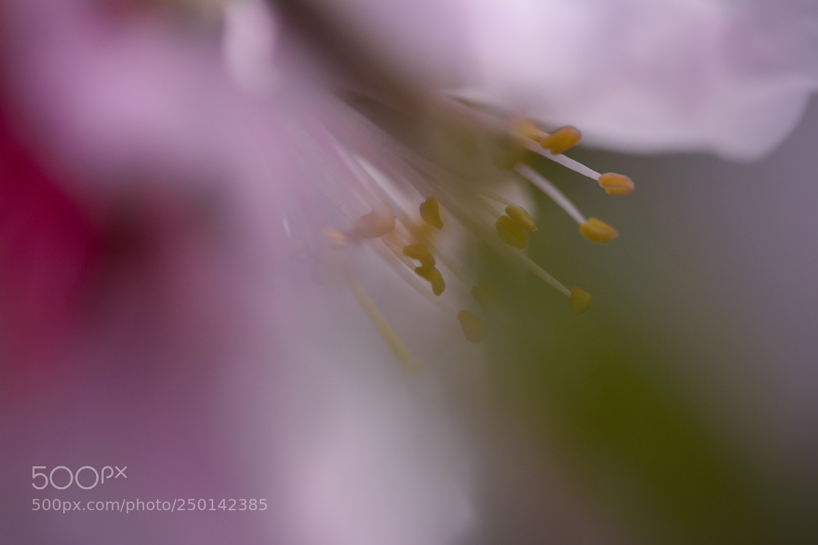 Nikon D7100 sample photo. Untitled photography