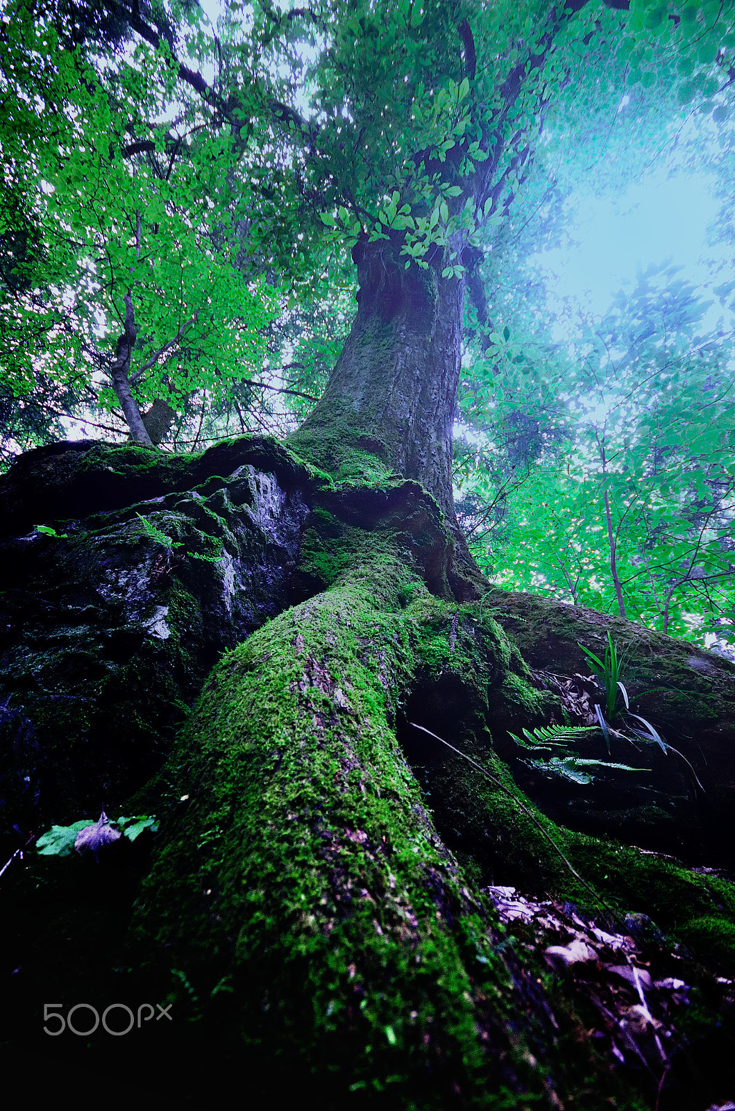 Nikon D7000 + Sigma 10-20mm F4-5.6 EX DC HSM sample photo. Eternal time photography