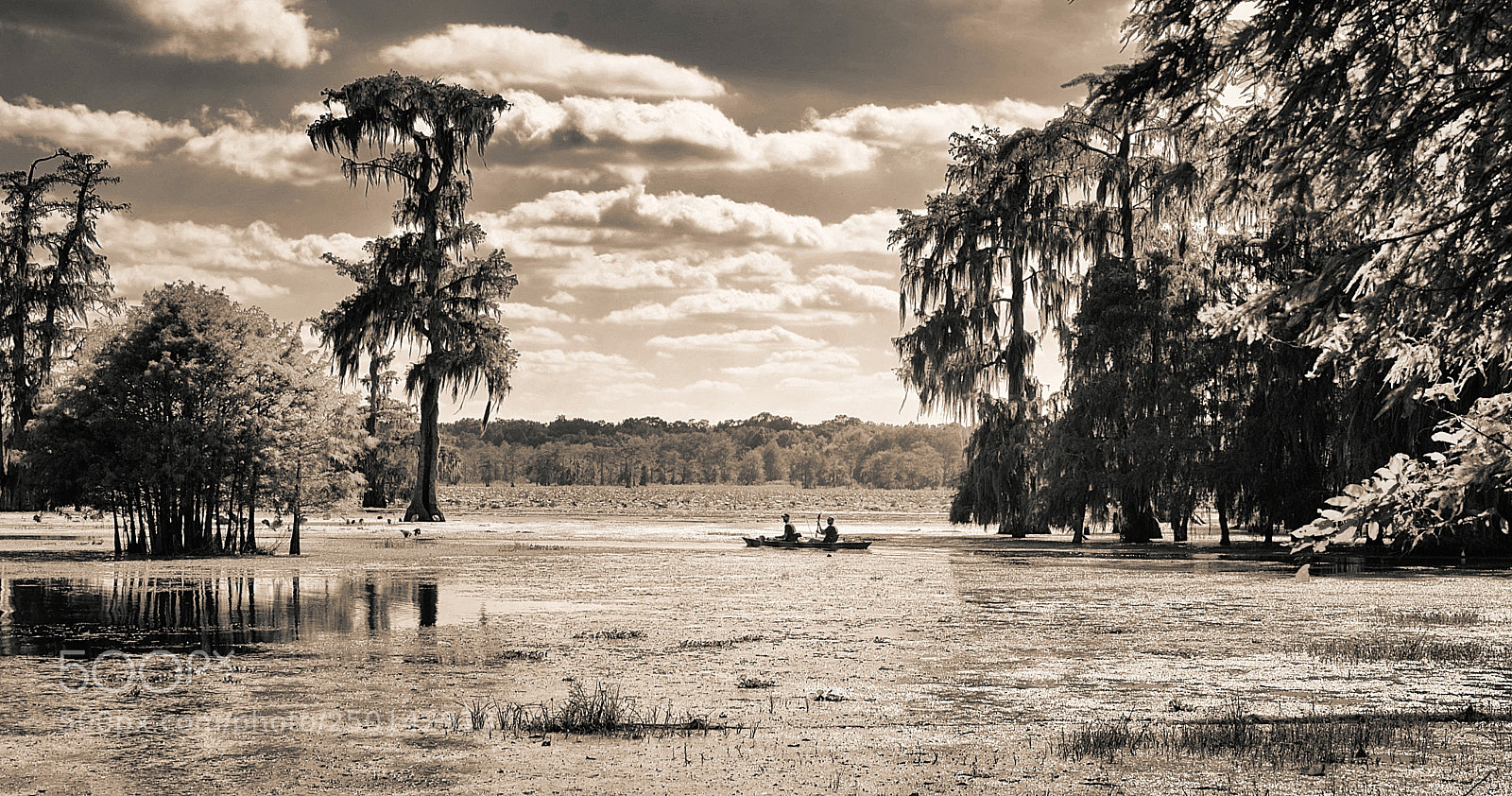 Nikon D7000 sample photo. Lake martin photography