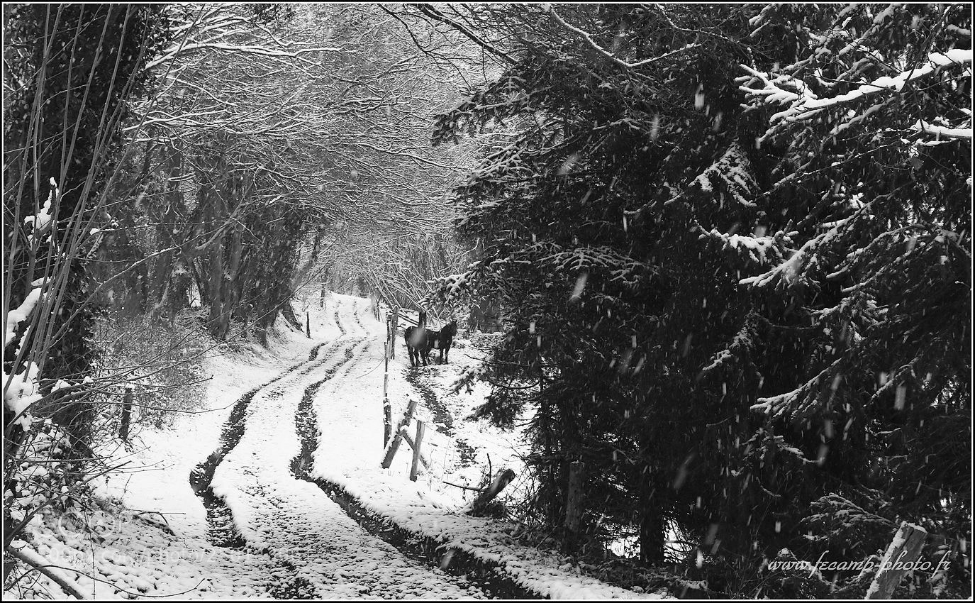Canon EOS 70D sample photo. Snow in the valley photography