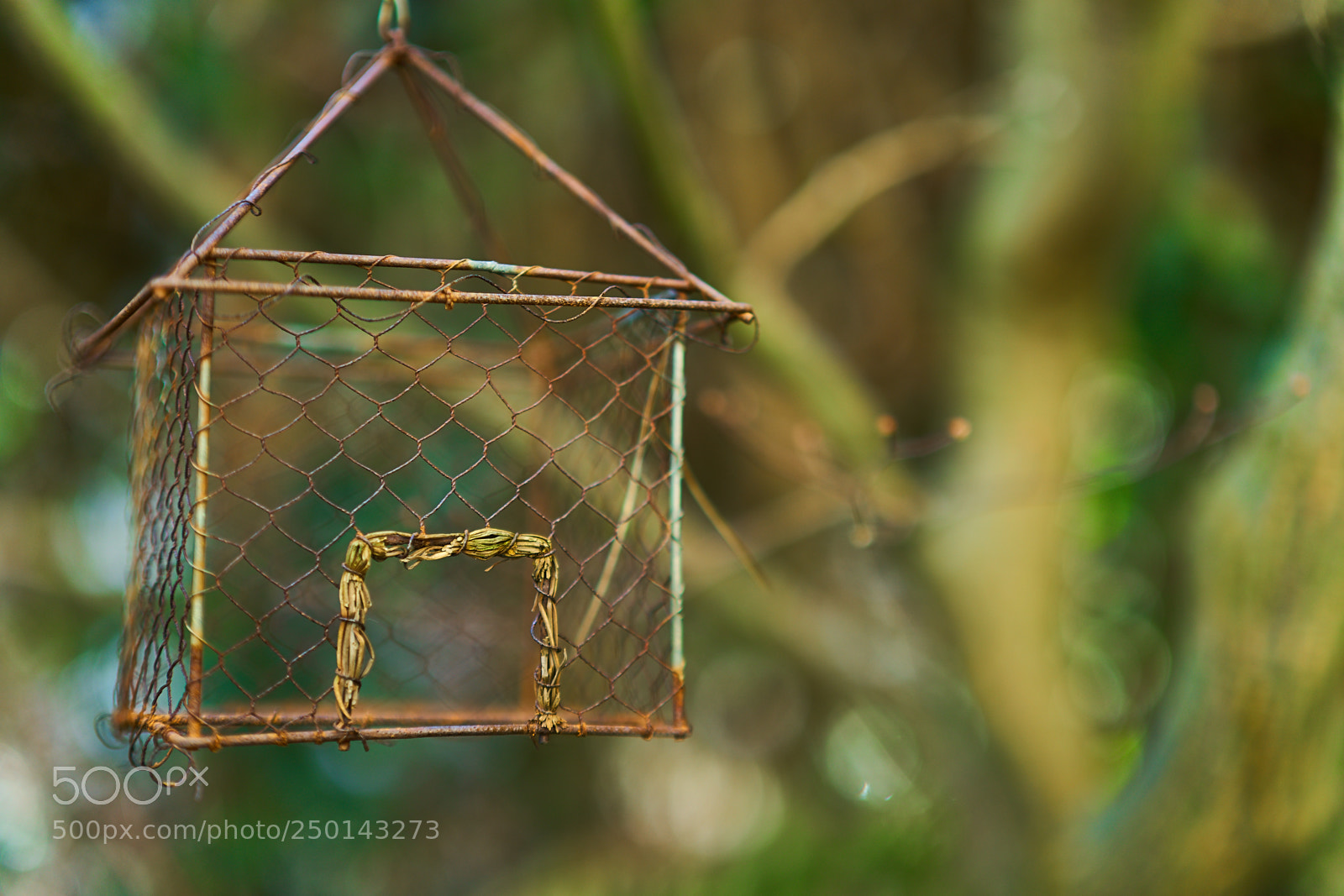 Sony a7 sample photo. Bird house photography