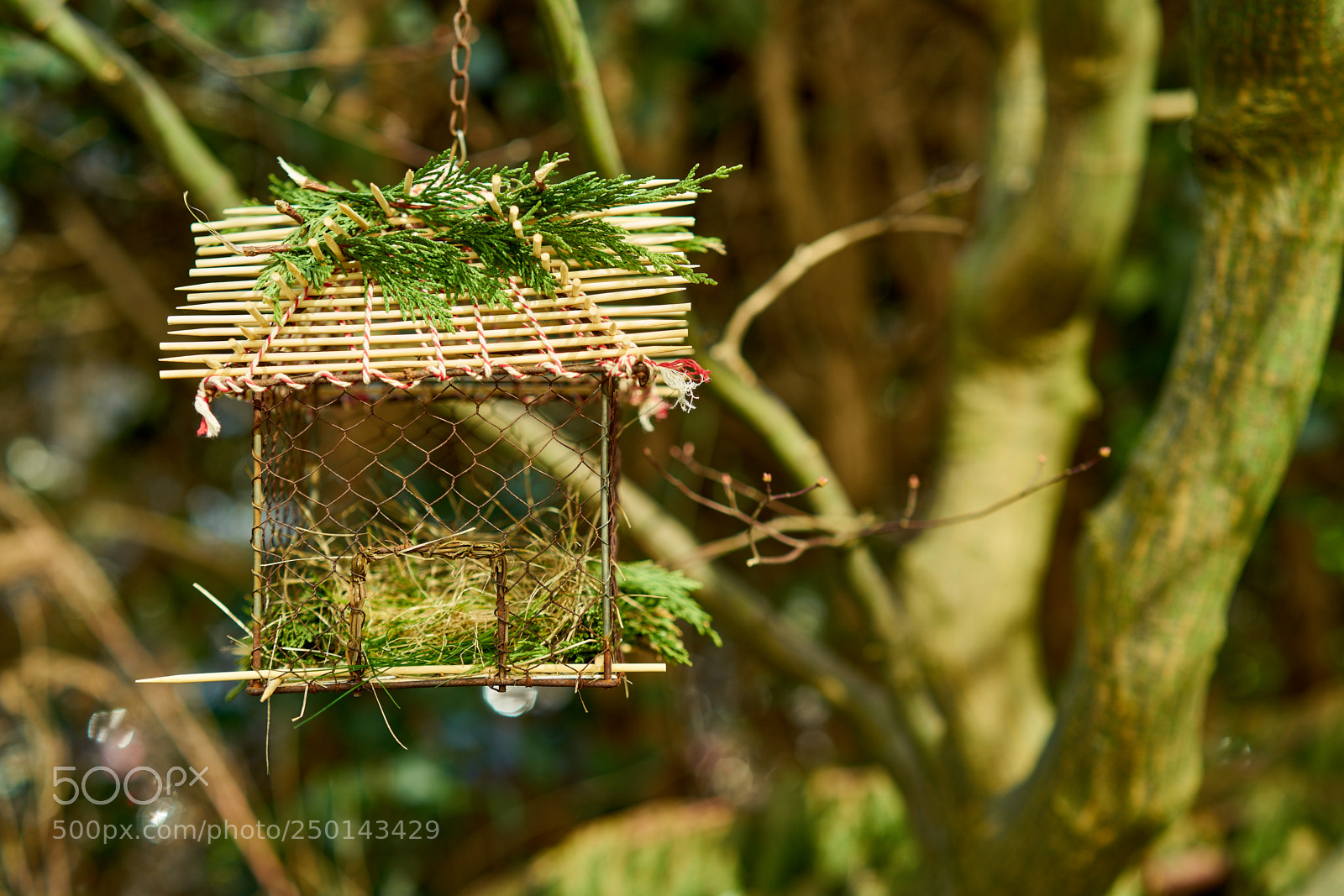 Sony a7 sample photo. Bird house 2.0 photography