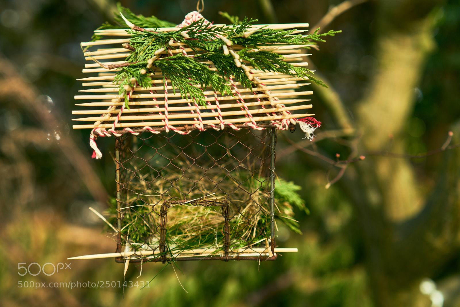 Sony a7 sample photo. Bird house 2.0 photography