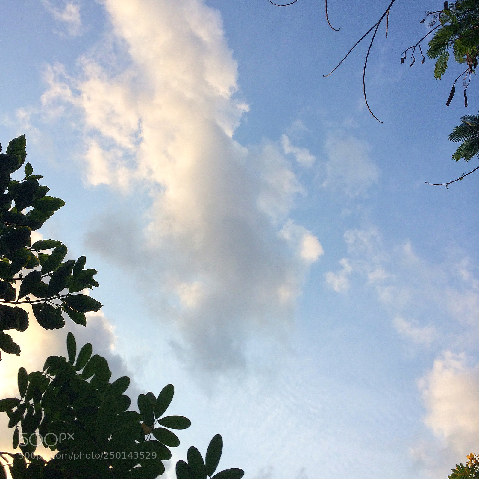 Apple iPhone 5s sample photo. ƪ(˘⌣˘)ʃ photography