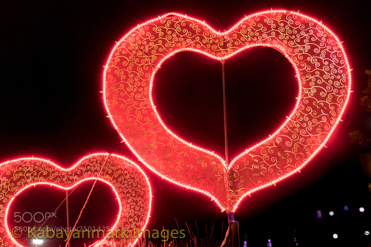 Nikon D850 sample photo. Chinese lunar new year photography