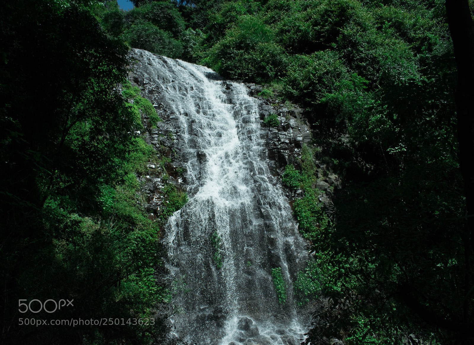 Nikon D5600 sample photo. Dorrigo falls photography