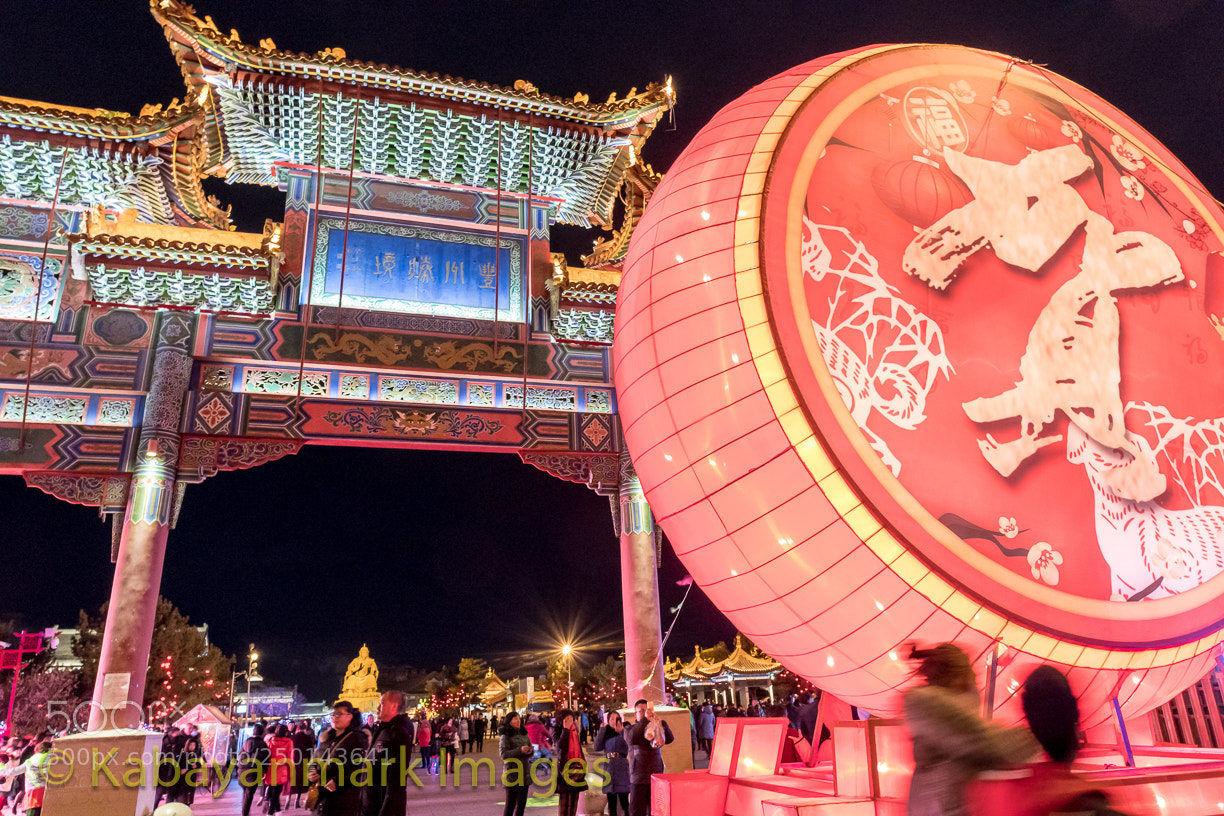 Nikon D850 sample photo. Chinese lunar new year photography