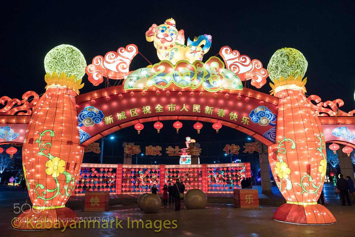 Nikon D850 sample photo. Chinese lunar new year photography