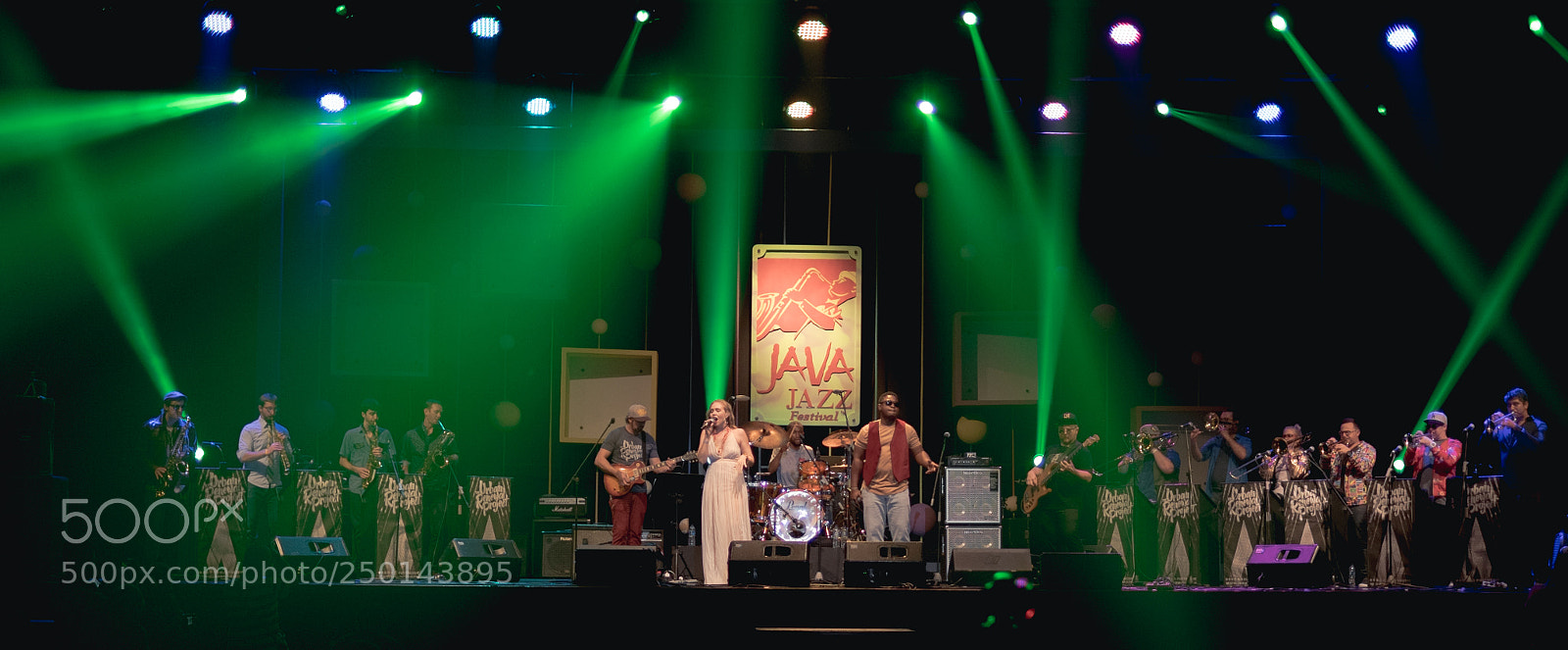 Fujifilm X-E2 sample photo. Jazz your night photography