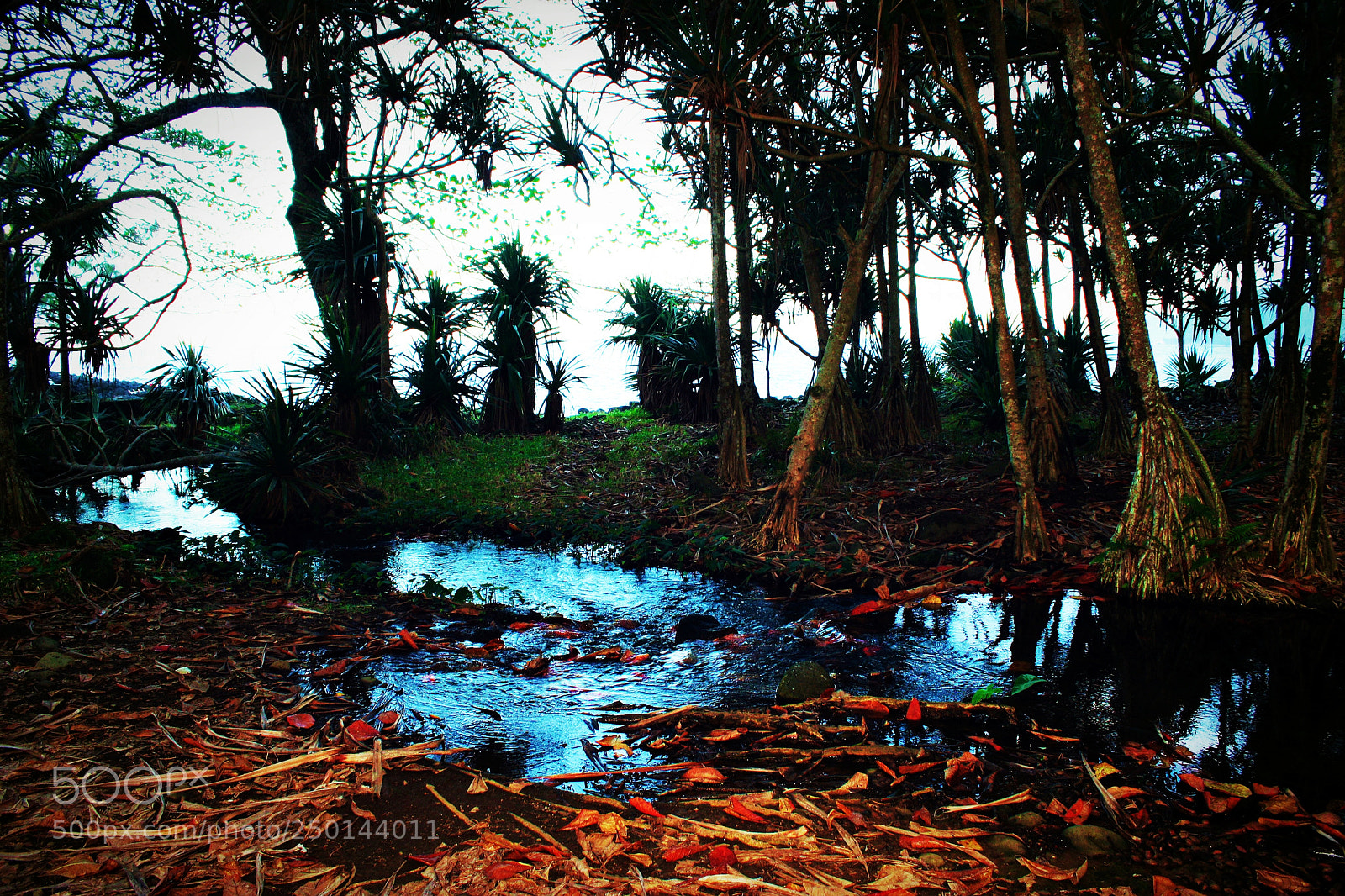 Canon EOS 20D sample photo. Untitled photography