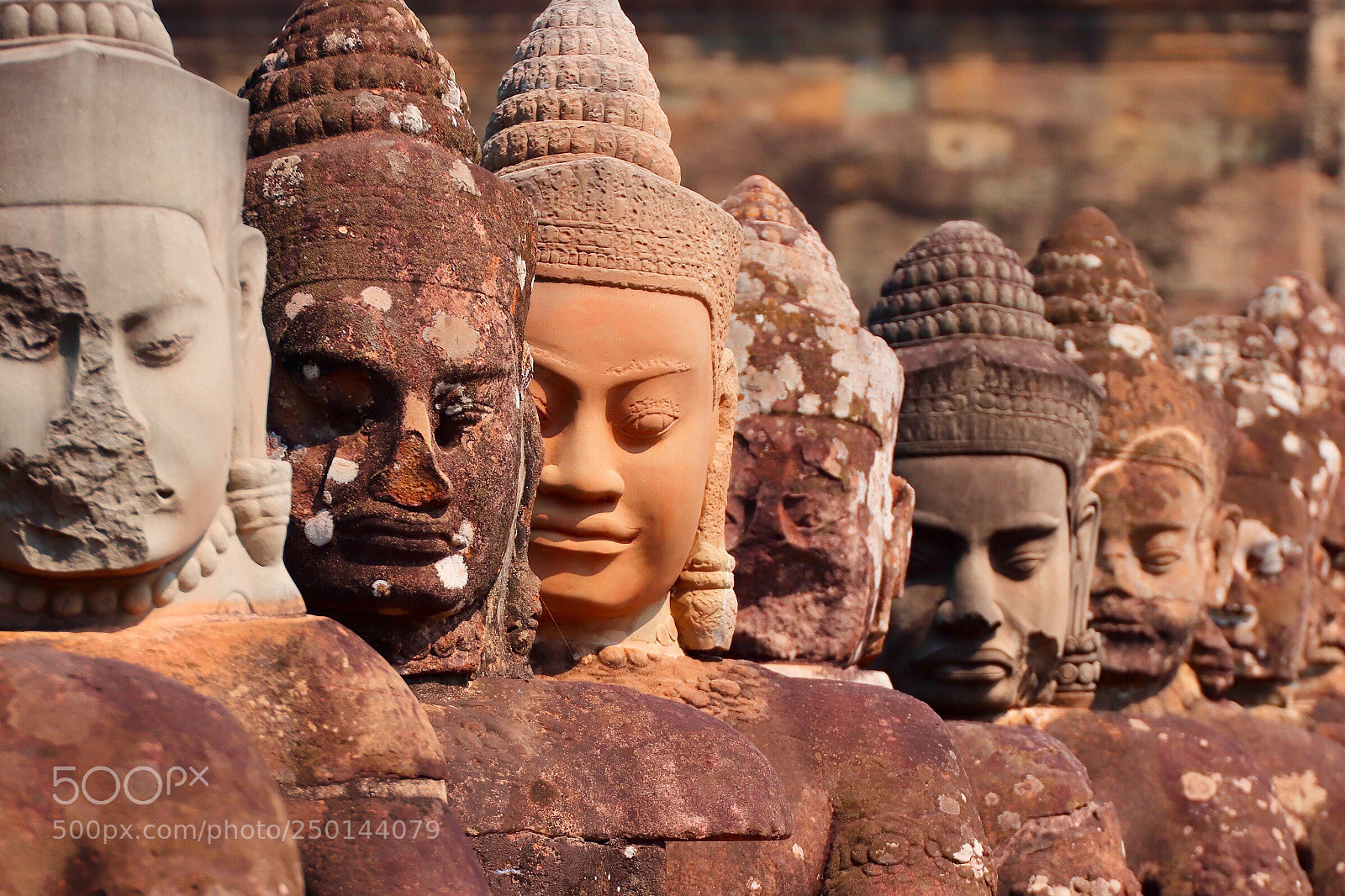 Canon EOS 77D (EOS 9000D / EOS 770D) sample photo. Heads photography