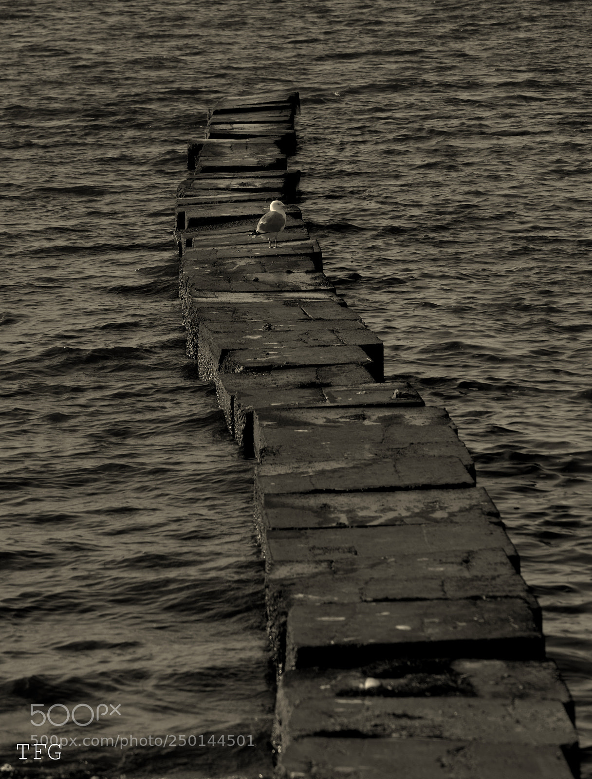 Nikon D5600 sample photo. Skaven strand photography