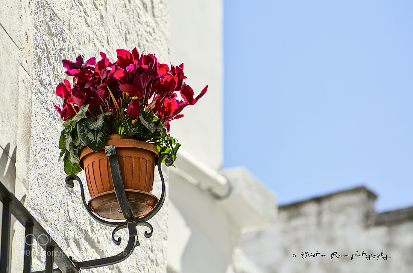 Nikon D7000 sample photo. Vaso di fiori photography