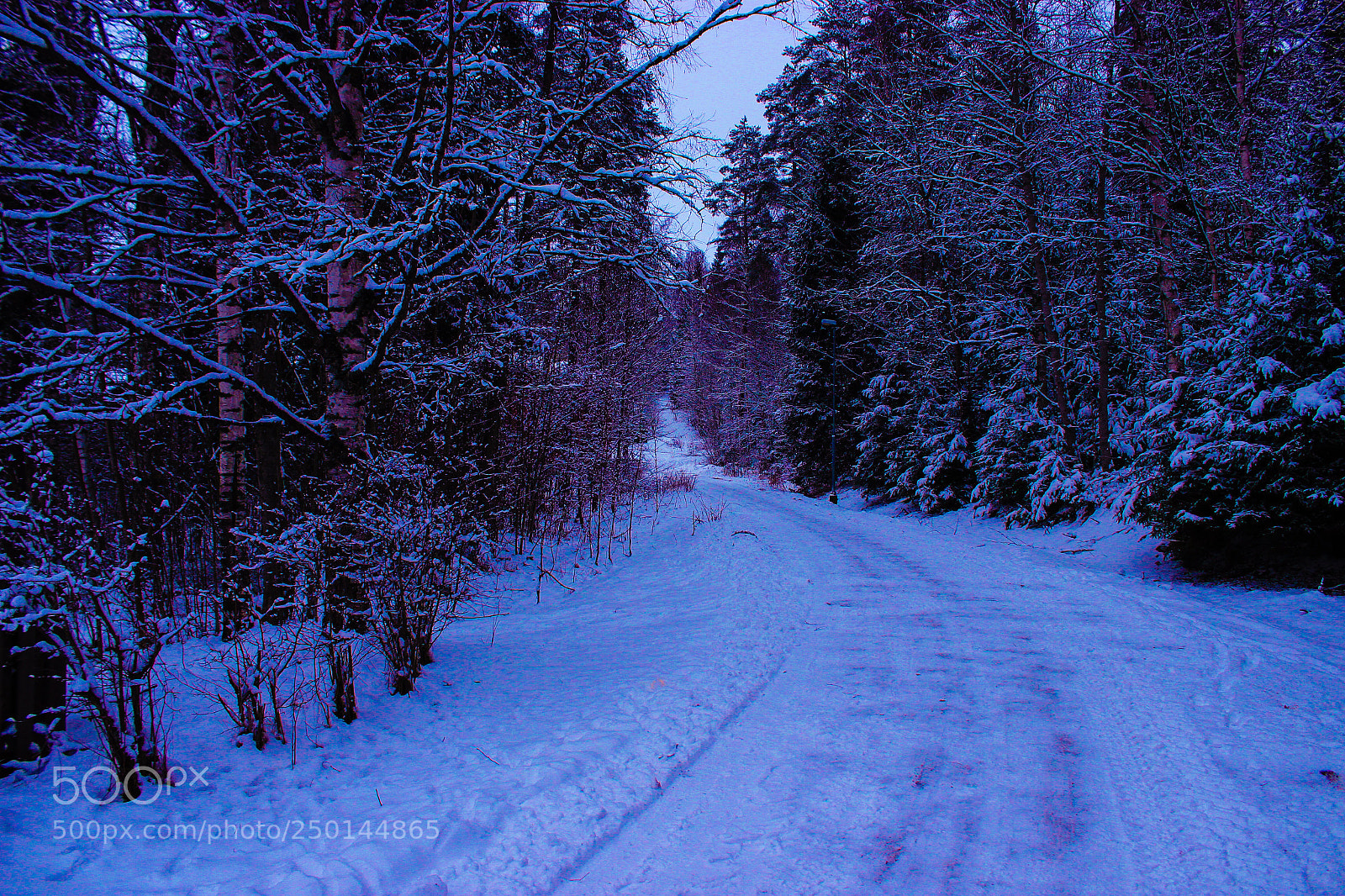 Canon EOS 600D (Rebel EOS T3i / EOS Kiss X5) sample photo. Forest road  photography