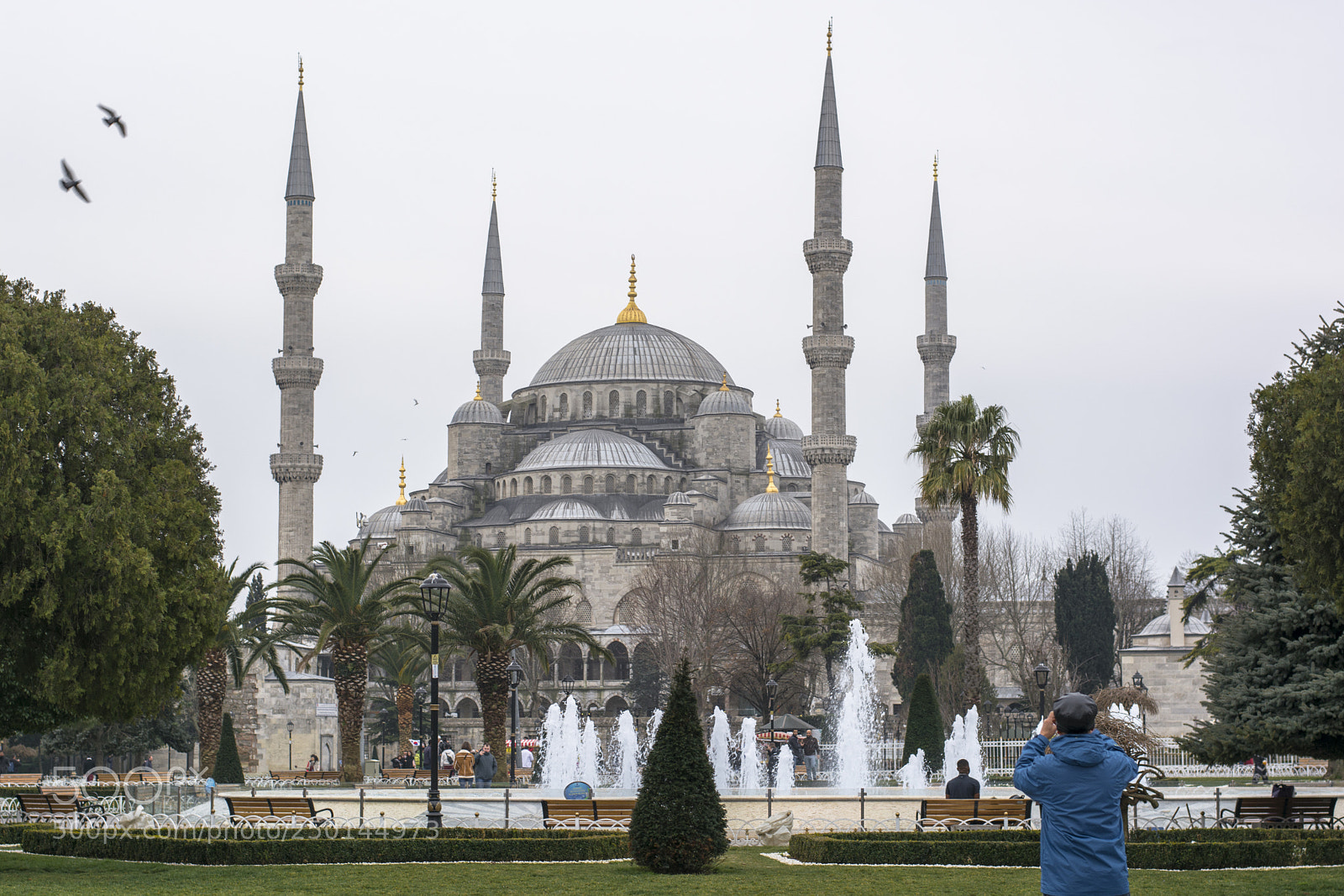 Nikon D5200 sample photo. Blue mosque photography