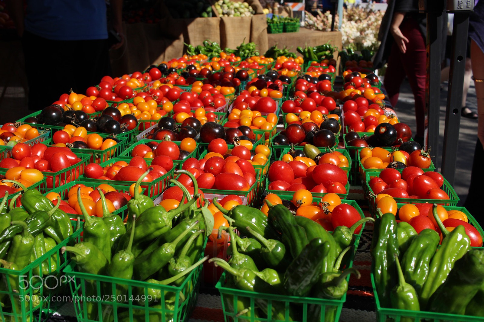 Canon EOS 100D (EOS Rebel SL1 / EOS Kiss X7) sample photo. Farmers market photography